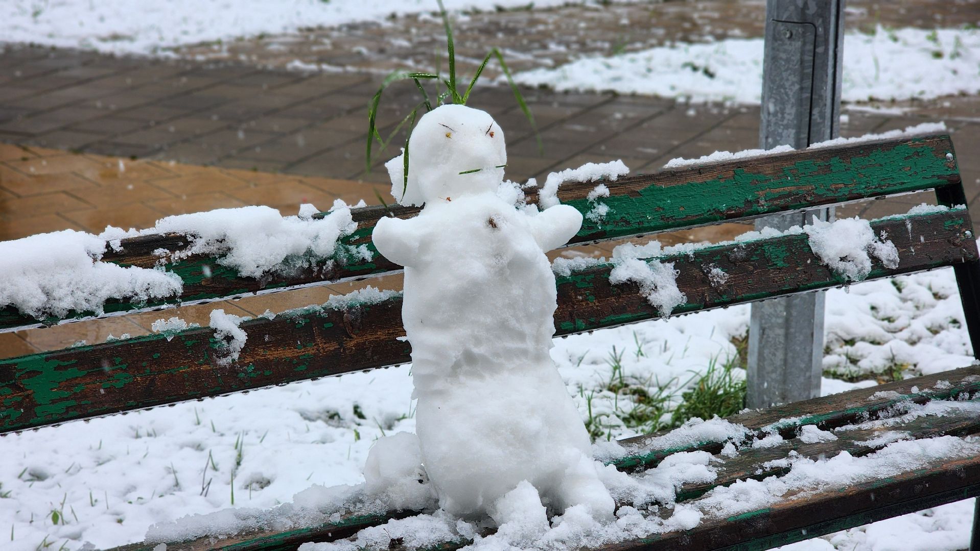 снег, коммунальщики, жкх, лосино-петровский,