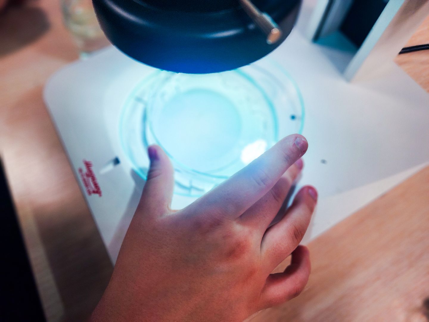 пущино, серпухов, образование, конференция школьников,