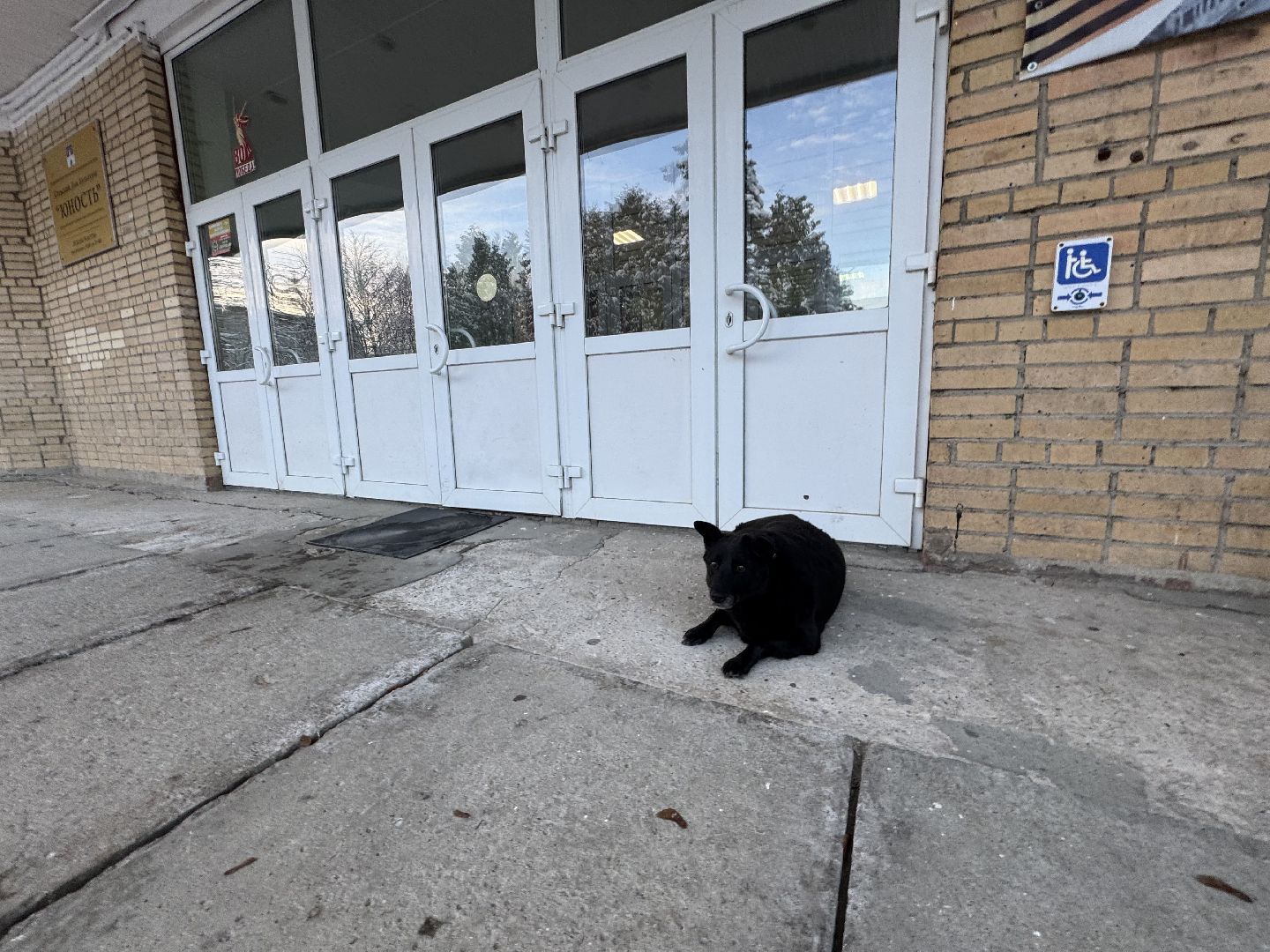 Рок в защиту животных, Березняки , Сергиево-Посадский окгуг,