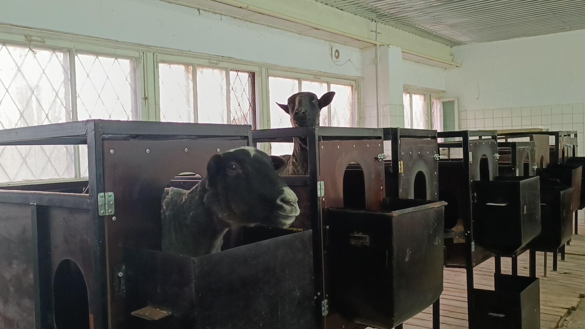 сельское хозяйство, лобня, наука,