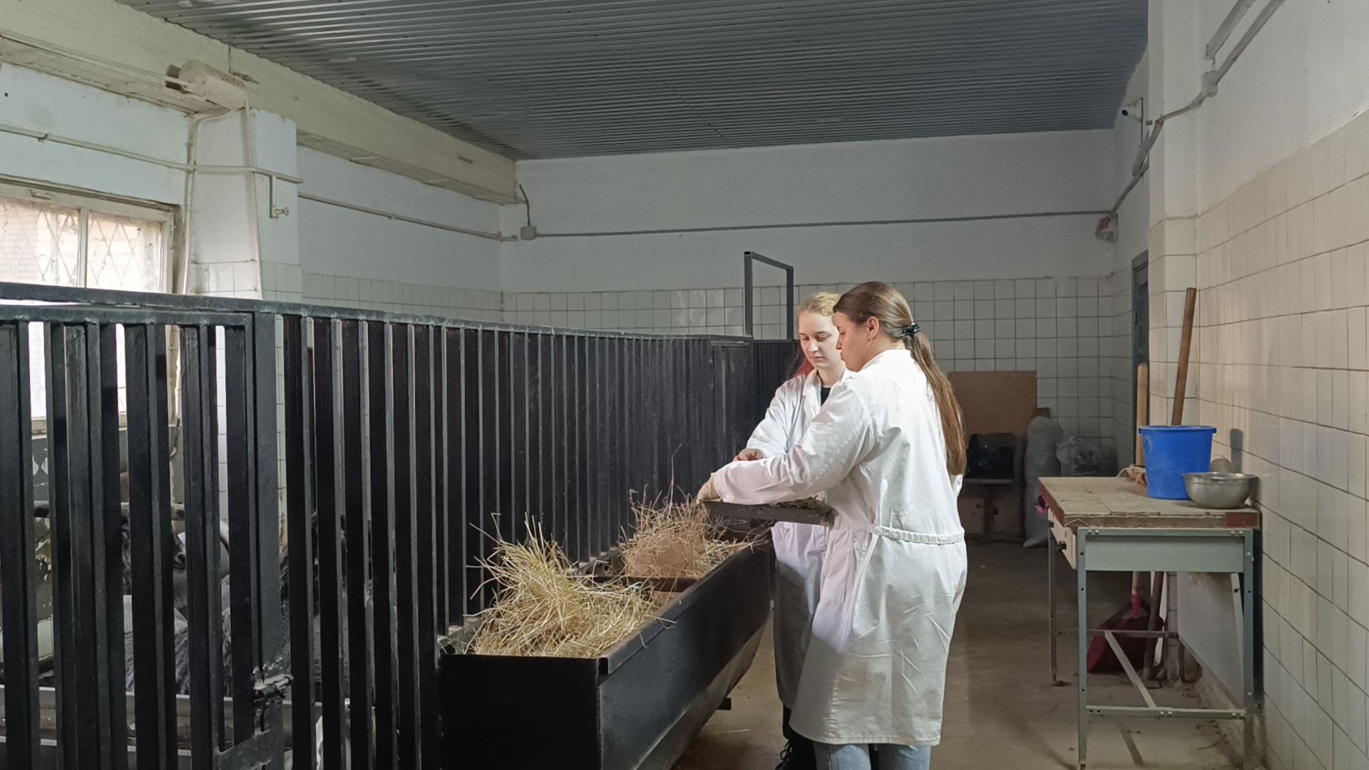 сельское хозяйство, лобня, наука,