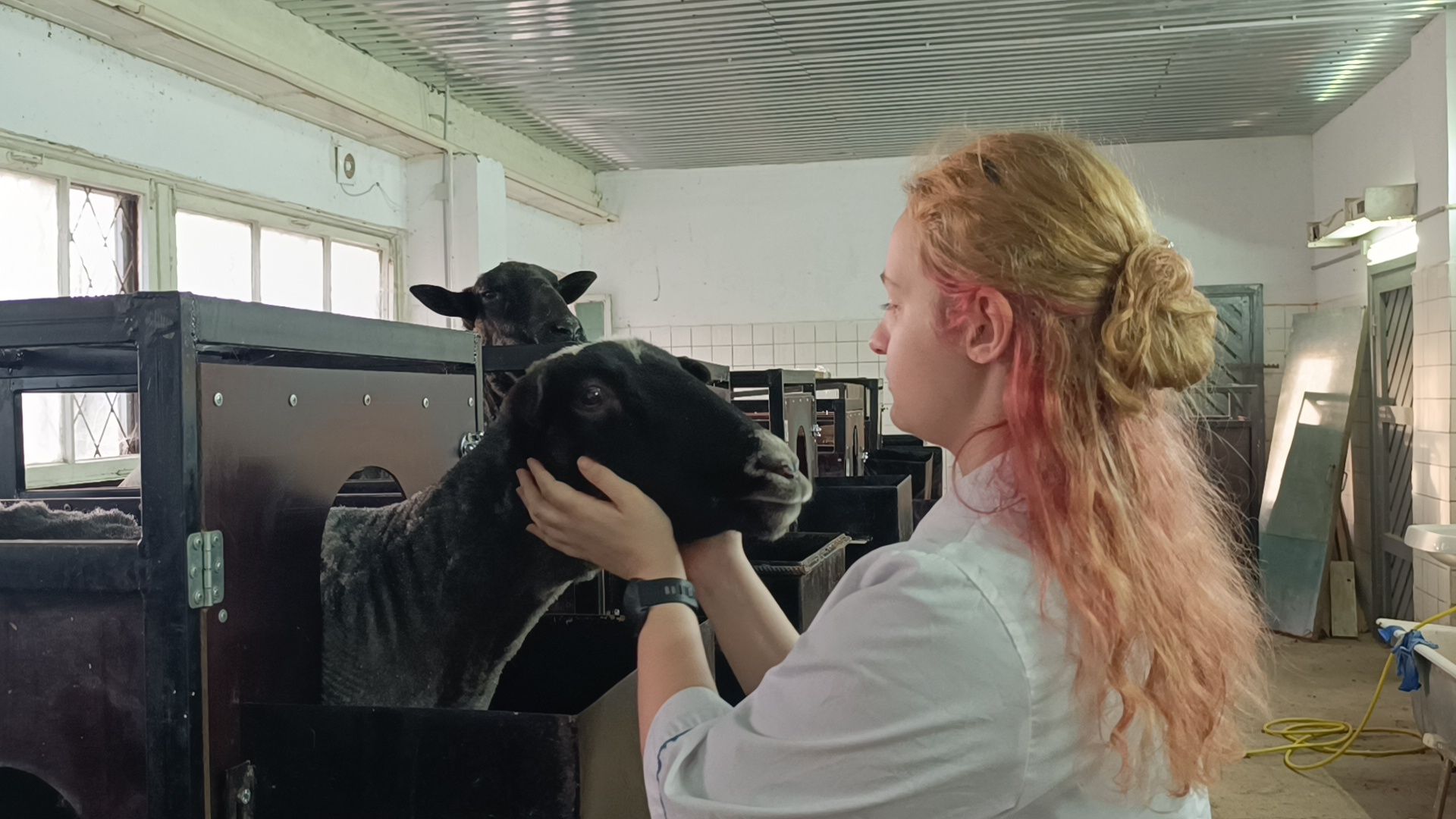 сельское хозяйство, лобня, наука,