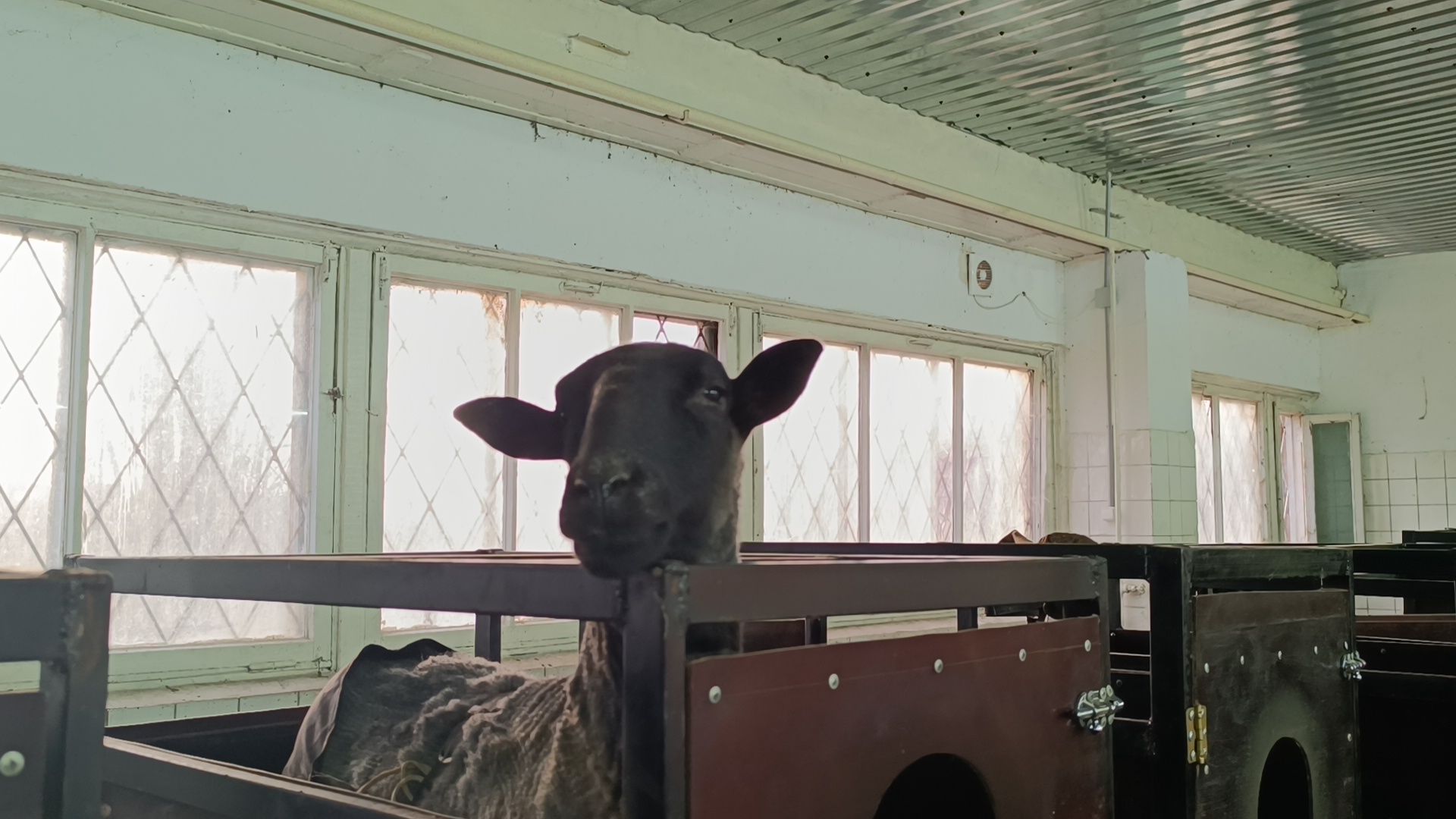 сельское хозяйство, лобня, наука,