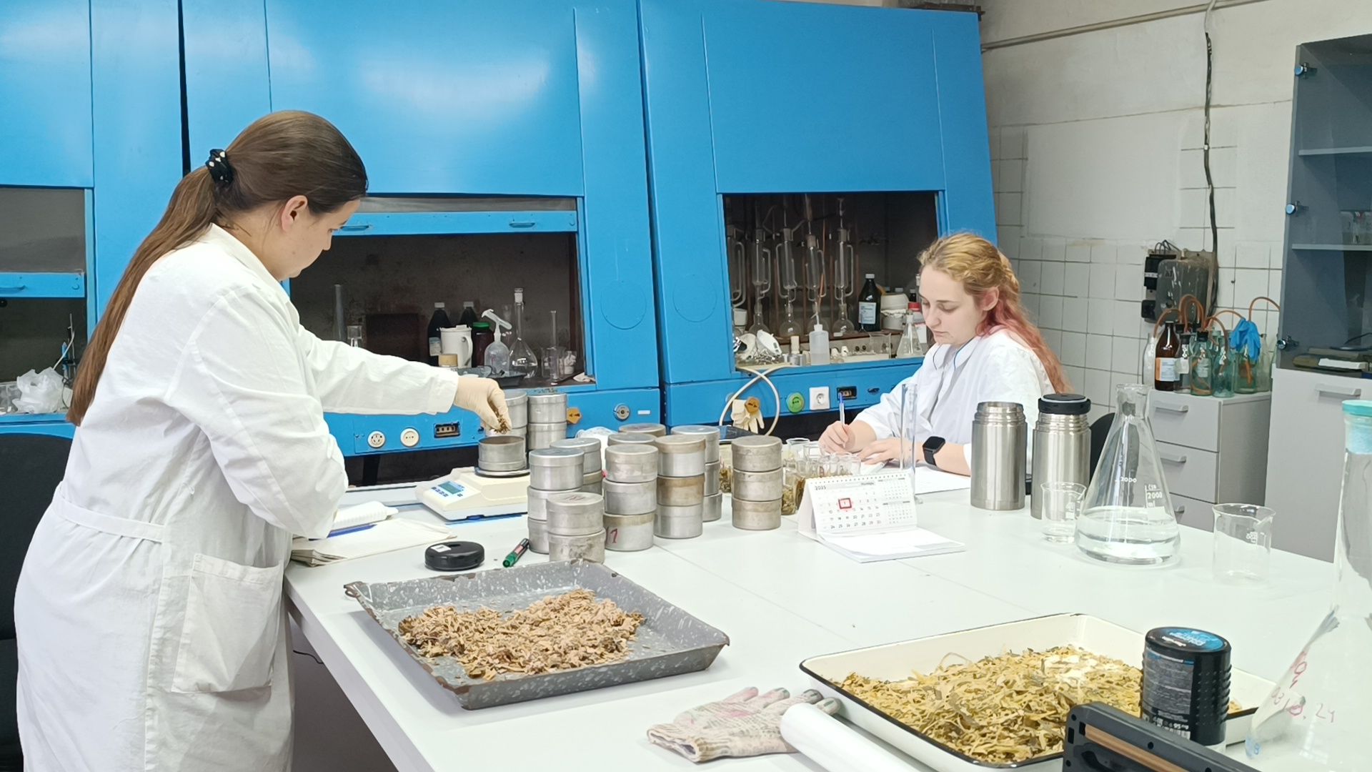 сельское хозяйство, лобня, наука,