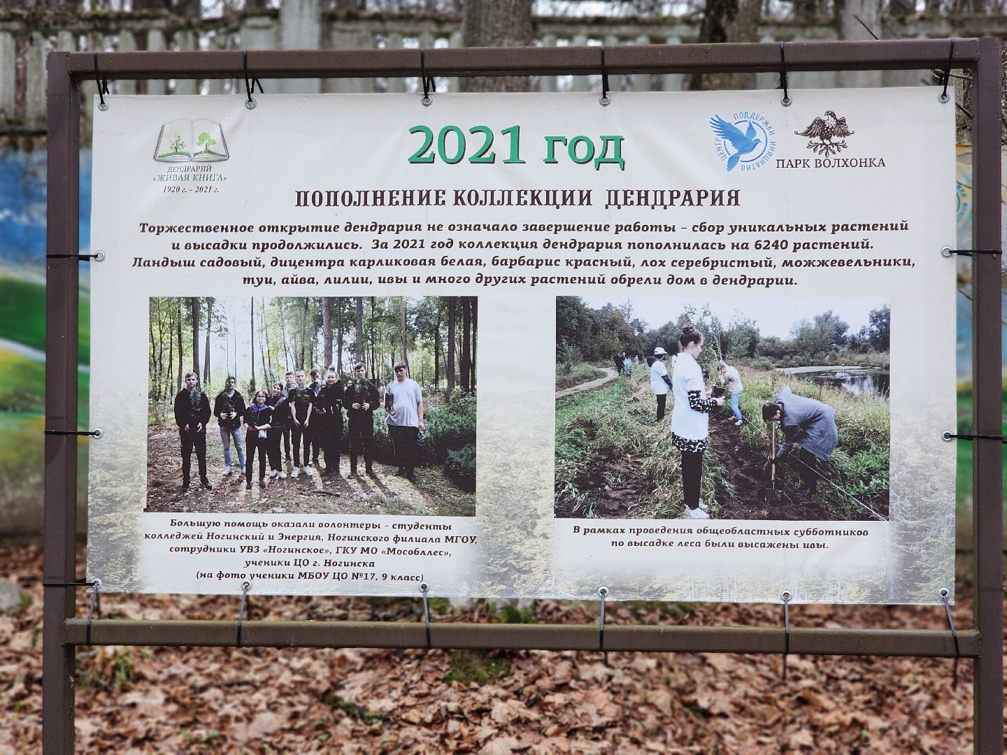 благоустройство, реконструкция, парк, ногинск, богородский городской округ,