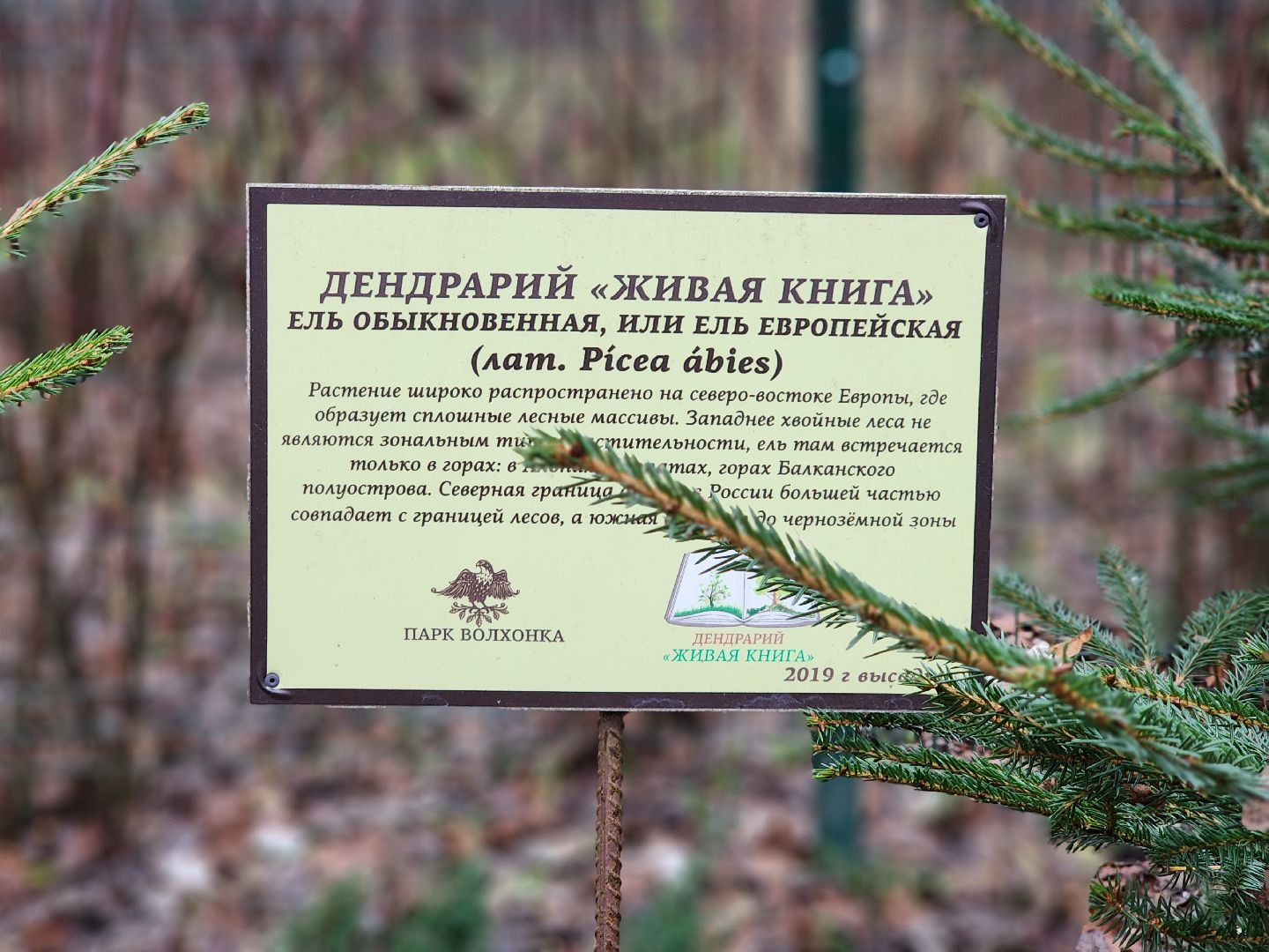 благоустройство, реконструкция, парк, ногинск, богородский городской округ,