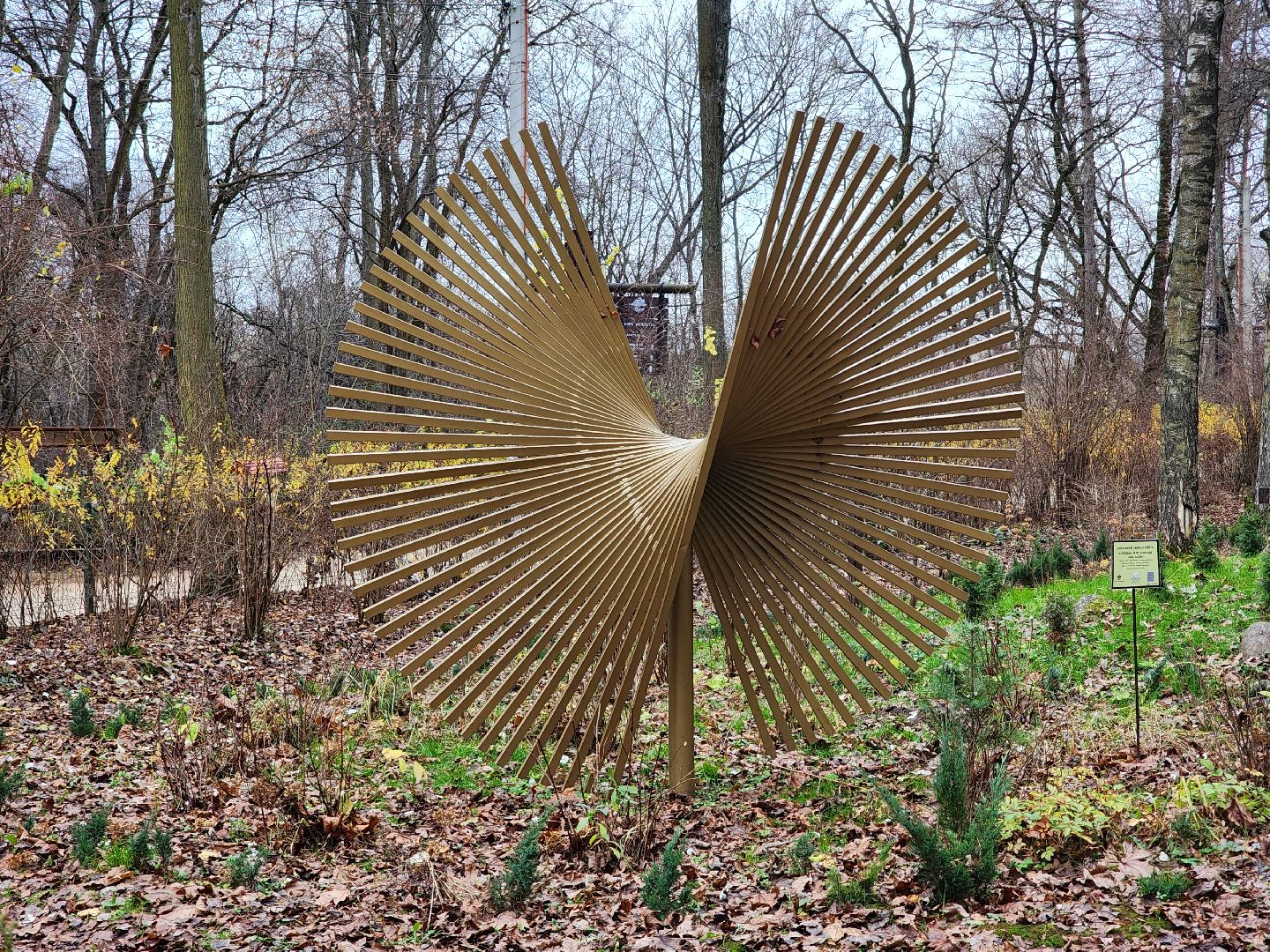 благоустройство, реконструкция, парк, ногинск, богородский городской округ,