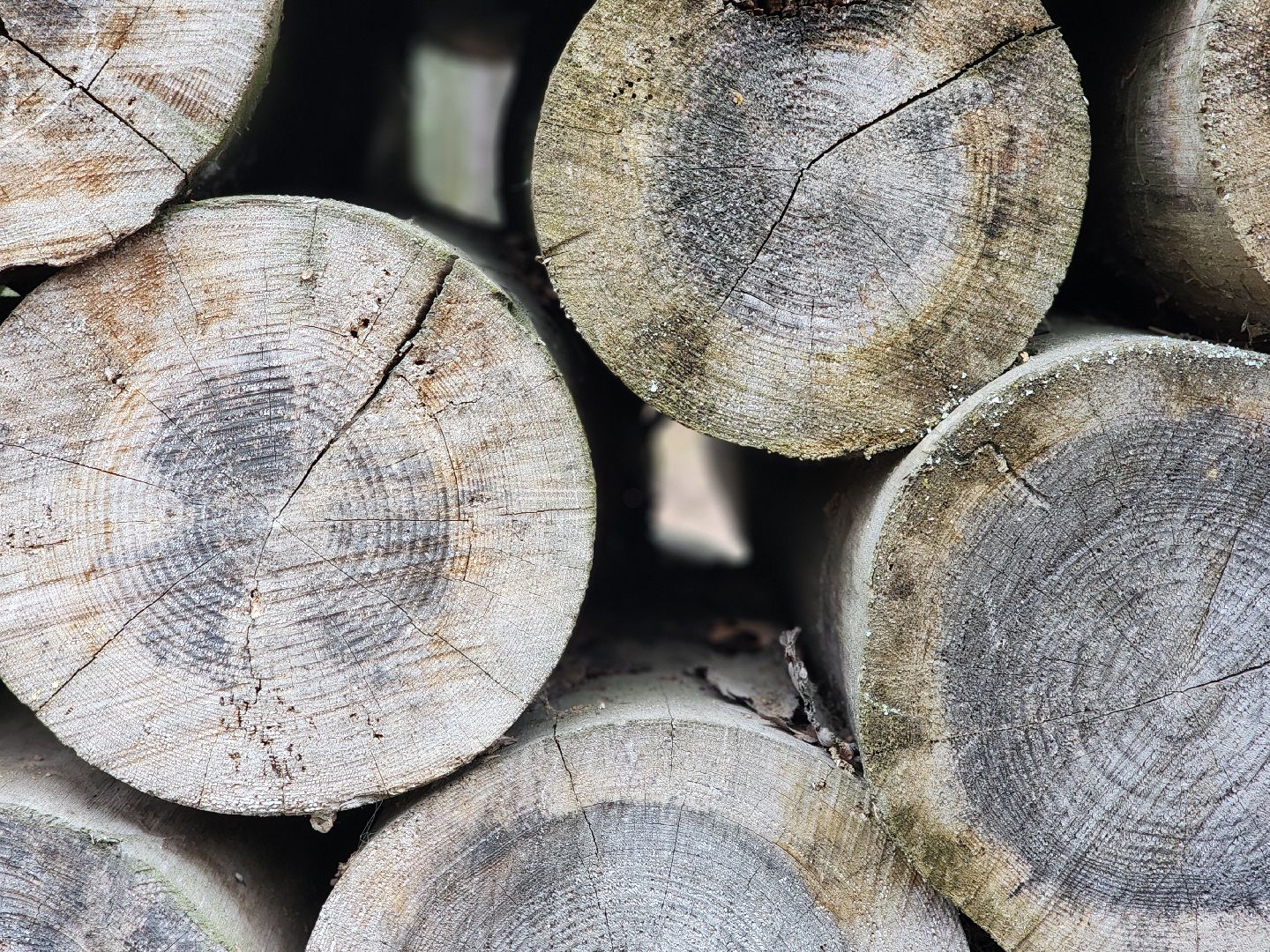 благоустройство, реконструкция, парк, ногинск, богородский городской округ,