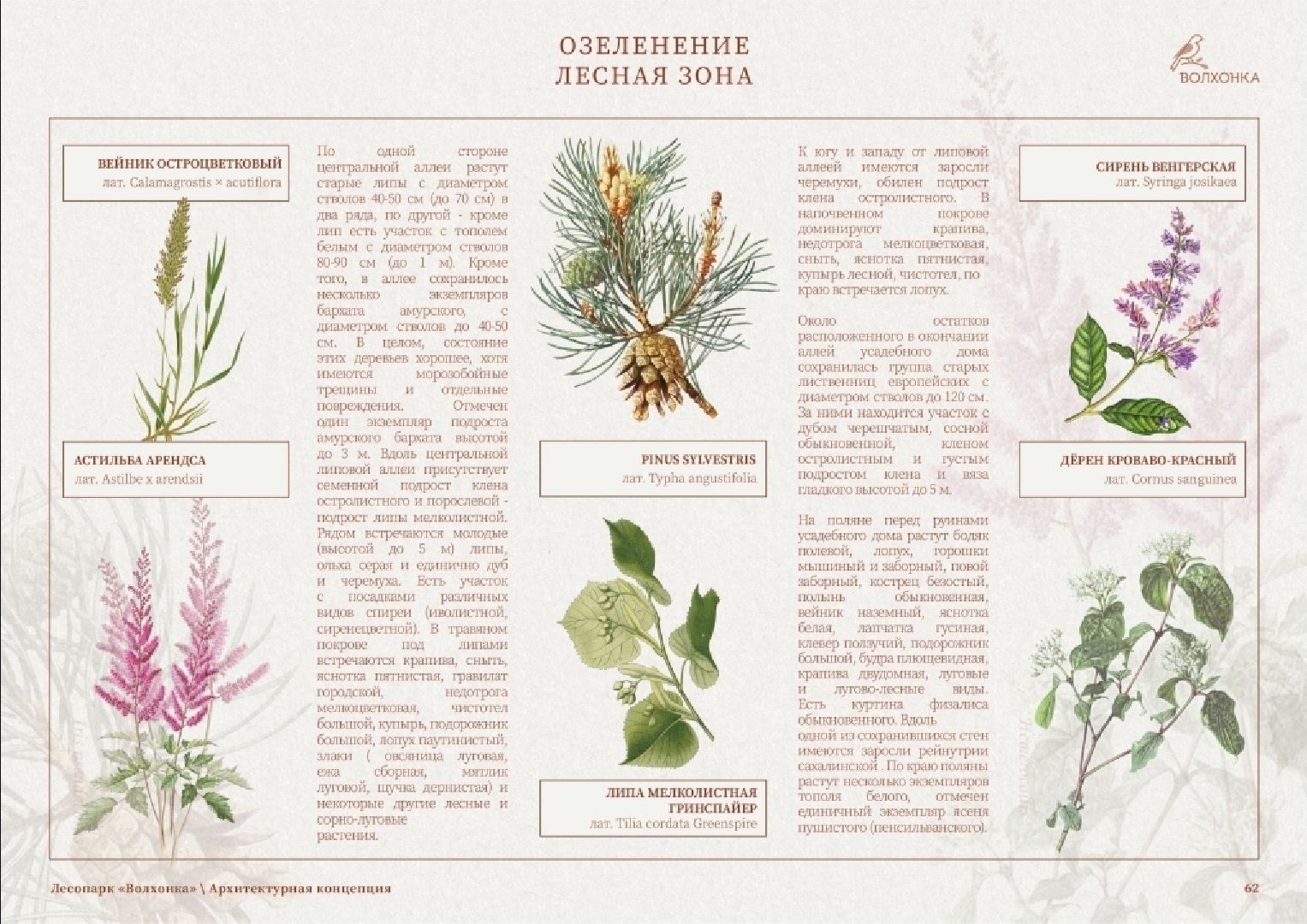 благоустройство, реконструкция, парк, ногинск, богородский городской округ,