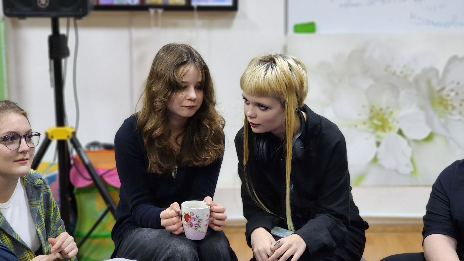 Руза, тучково, штурмовка,