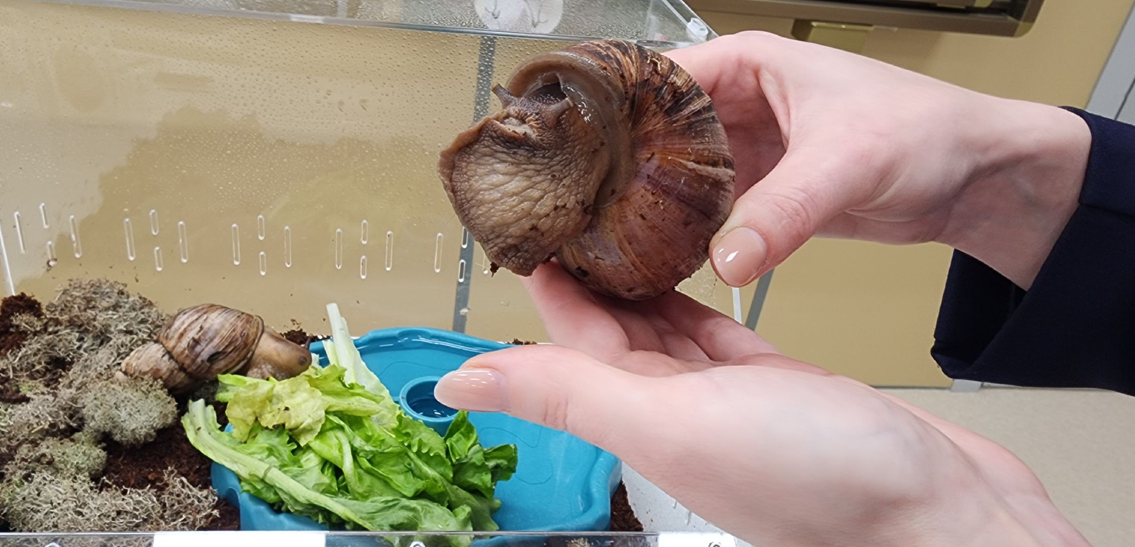 Образование , Новые технологии , Современная школа , Профориентация , Новая школа в микрорайоне Восточном , Образование в Звенигороде ,