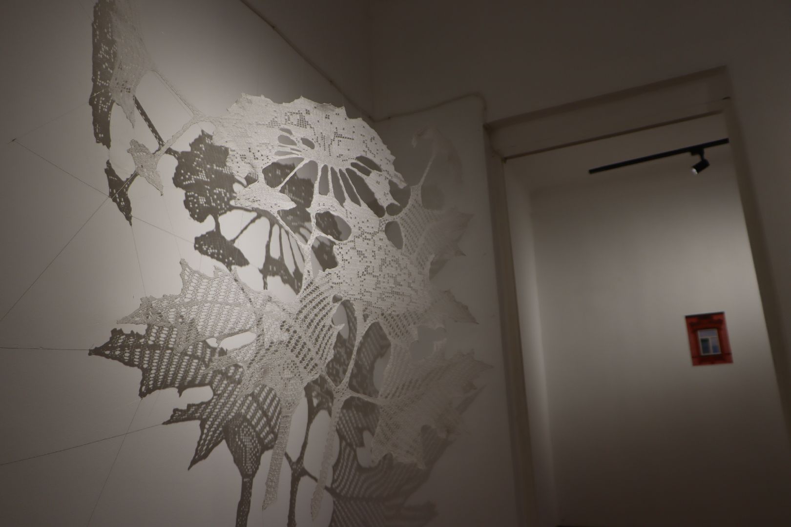 зарайск, фестиваль современного искусства , перезагрузка, выставка, культура,