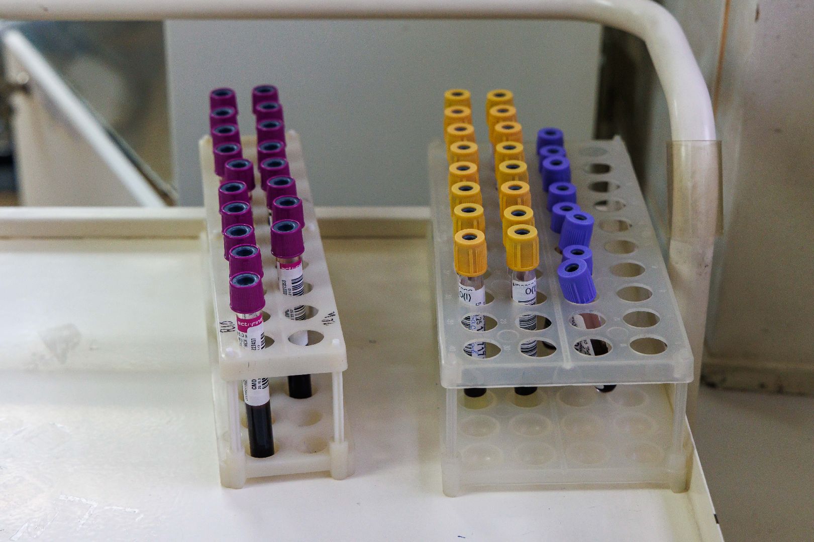 люберцы, люберецкая больница, почетный донор рф,