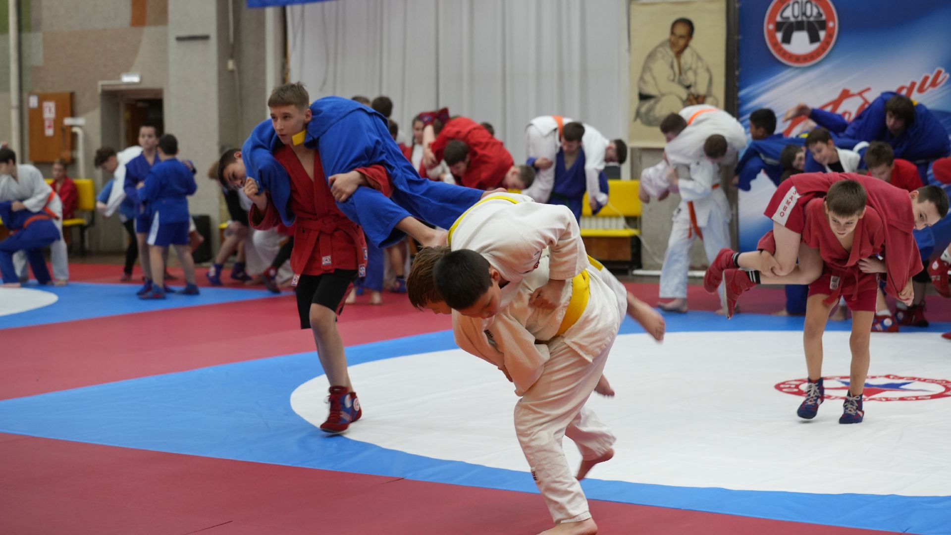 мастер класс, самбо, мастер спорта,