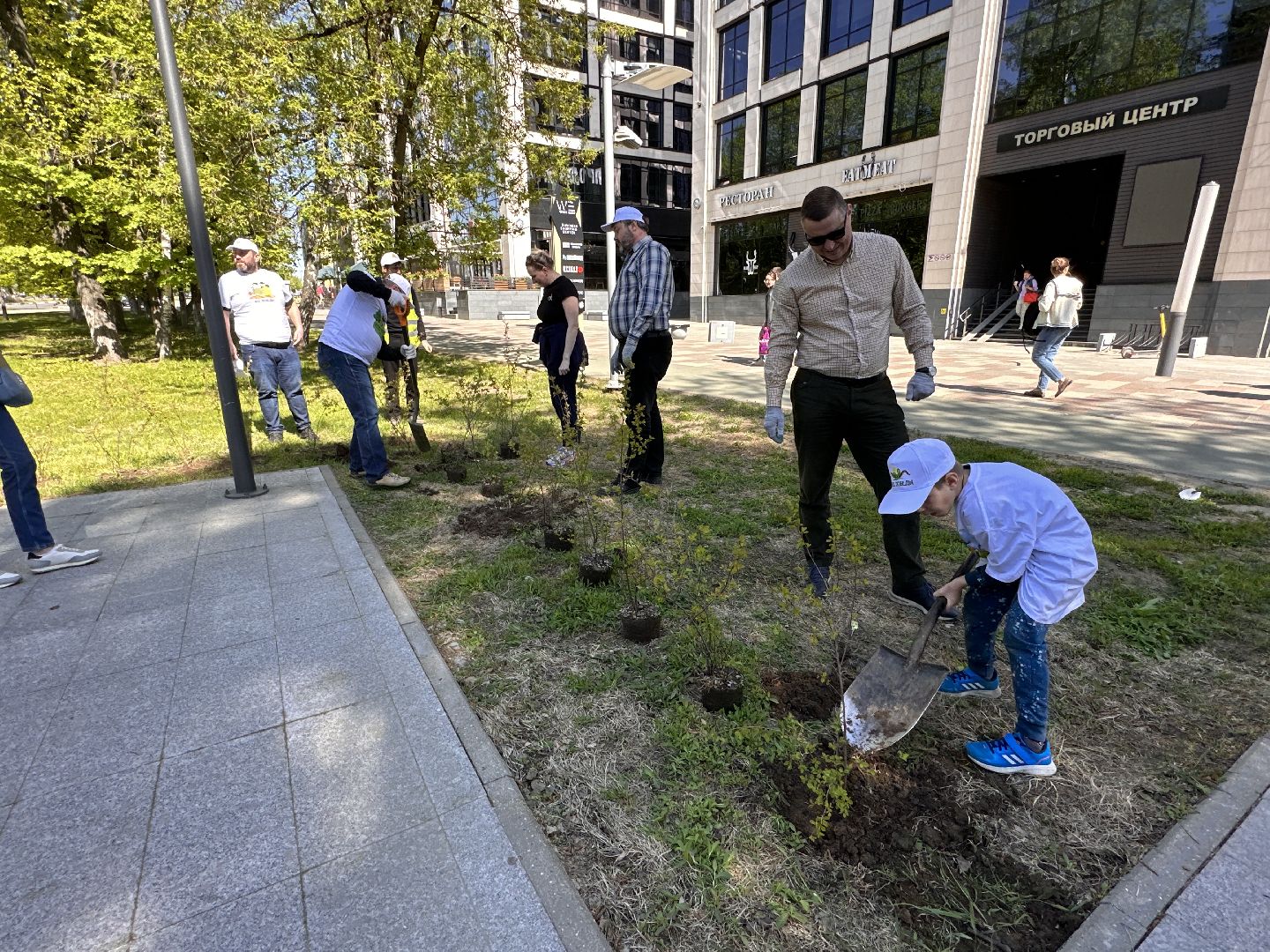 Экология, Лес Победы, Одинцово, Сад Памяти