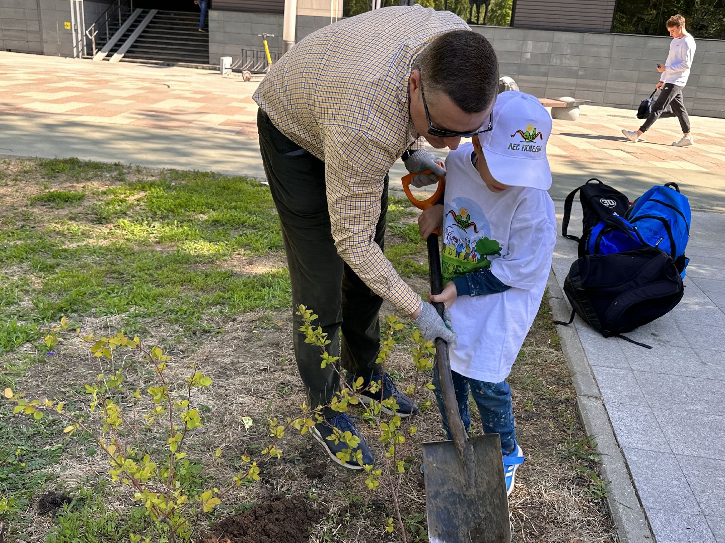 Экология, Лес Победы, Одинцово, Сад Памяти
