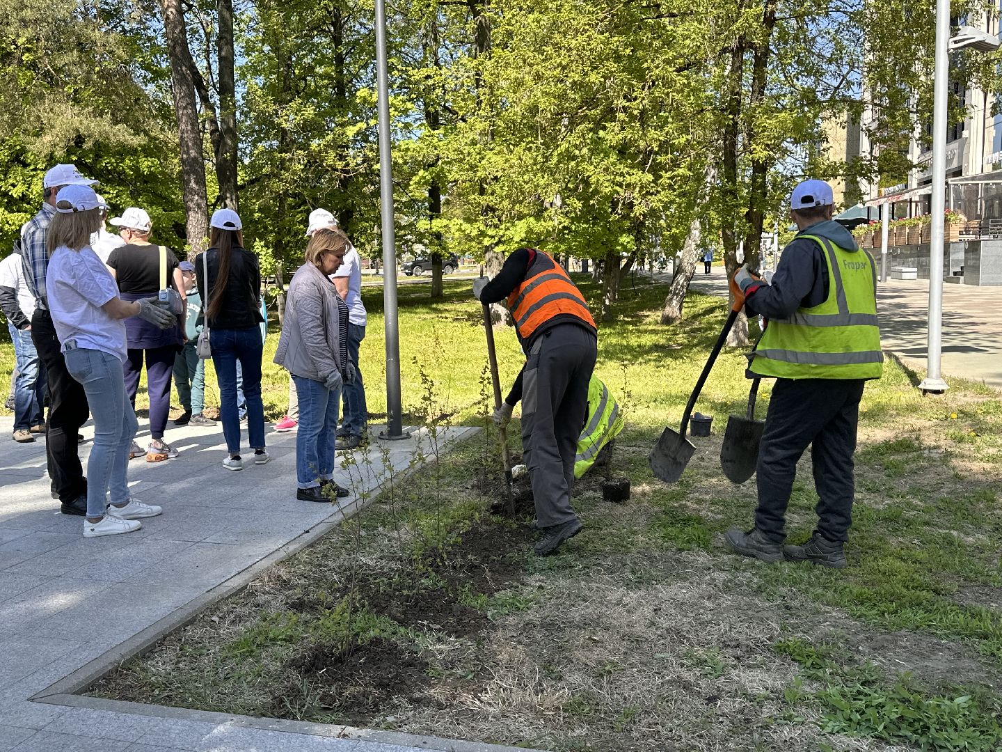 Экология, Лес Победы, Одинцово, Сад Памяти