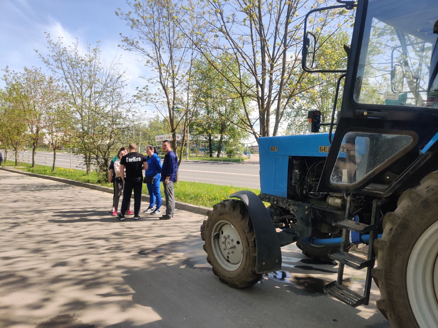 Красноармейск, Пушкинский, Лес Победы, аллея рябин, саженцы