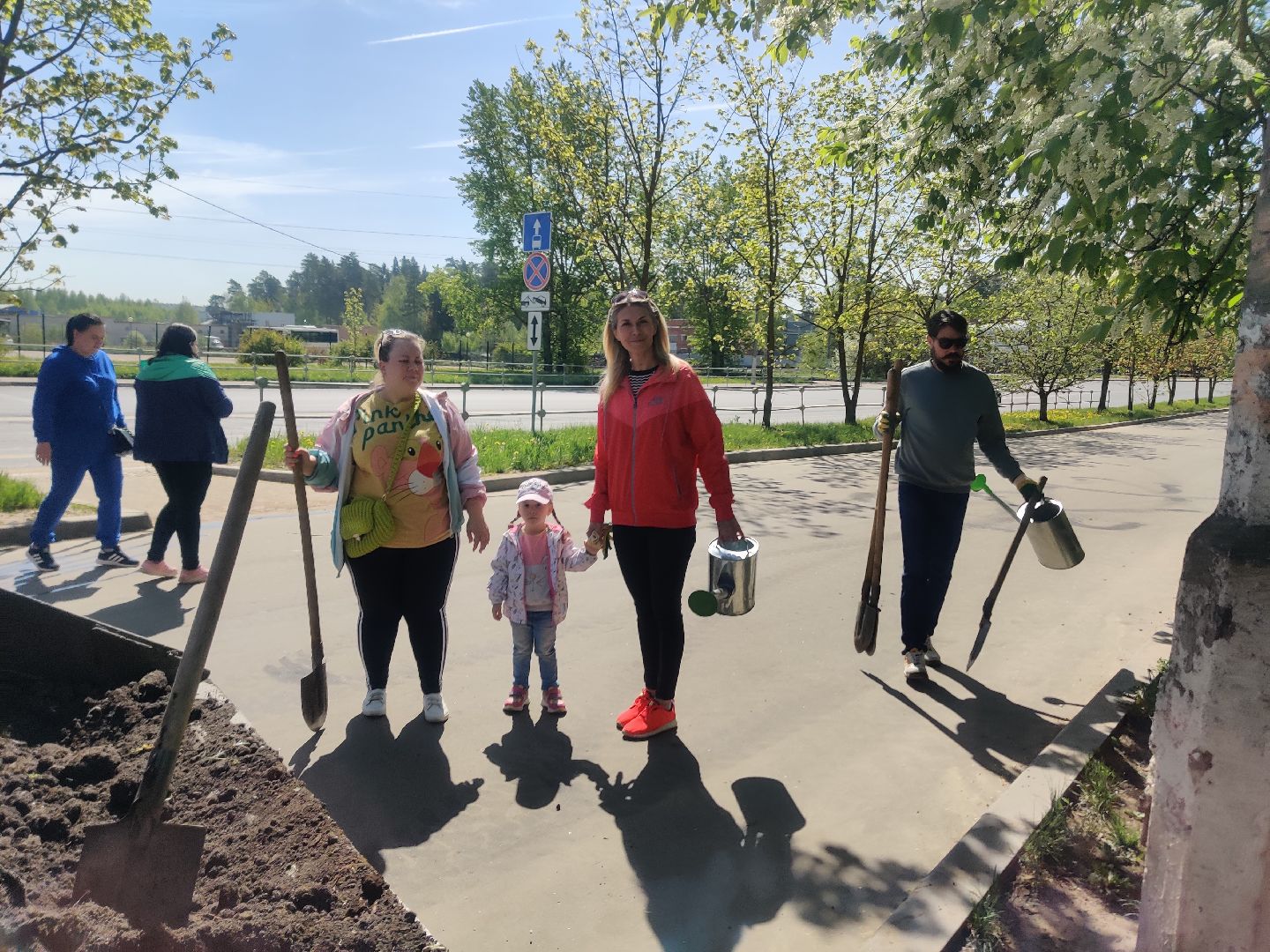 Красноармейск, Пушкинский, Лес Победы, аллея рябин, саженцы