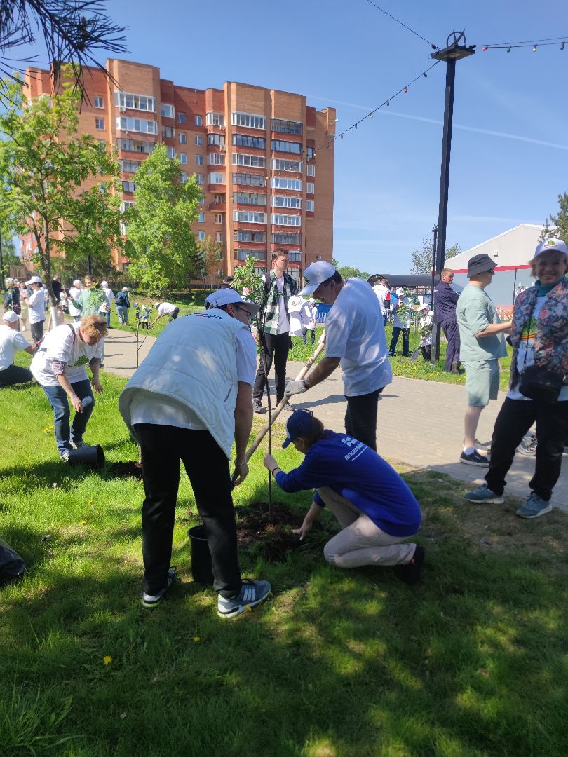Единая Россия, партия, Лес Победы, Дубна