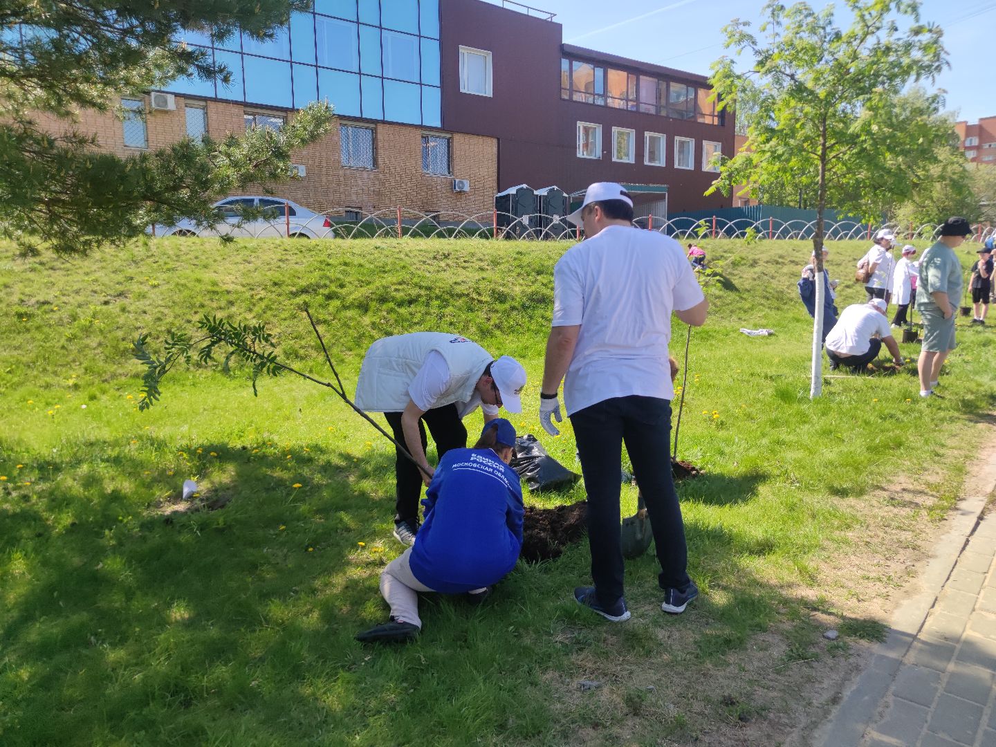 Единая Россия, партия, Лес Победы, Дубна