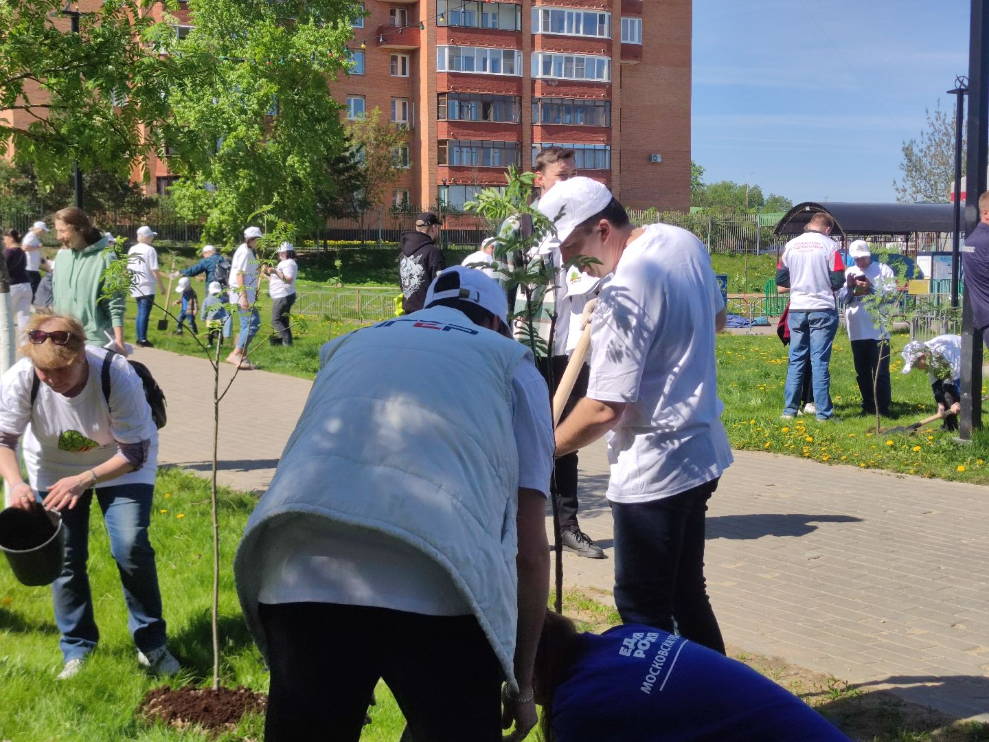 Единая Россия, партия, Лес Победы, Дубна