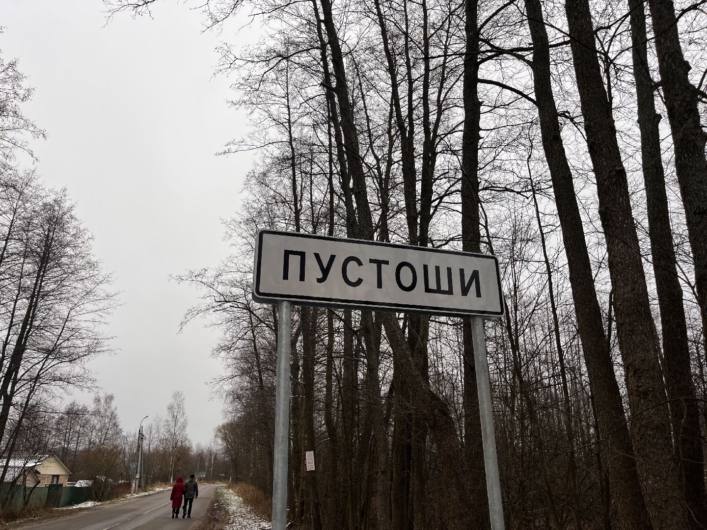 шатура медицина, пустоши, шатура в лицах,