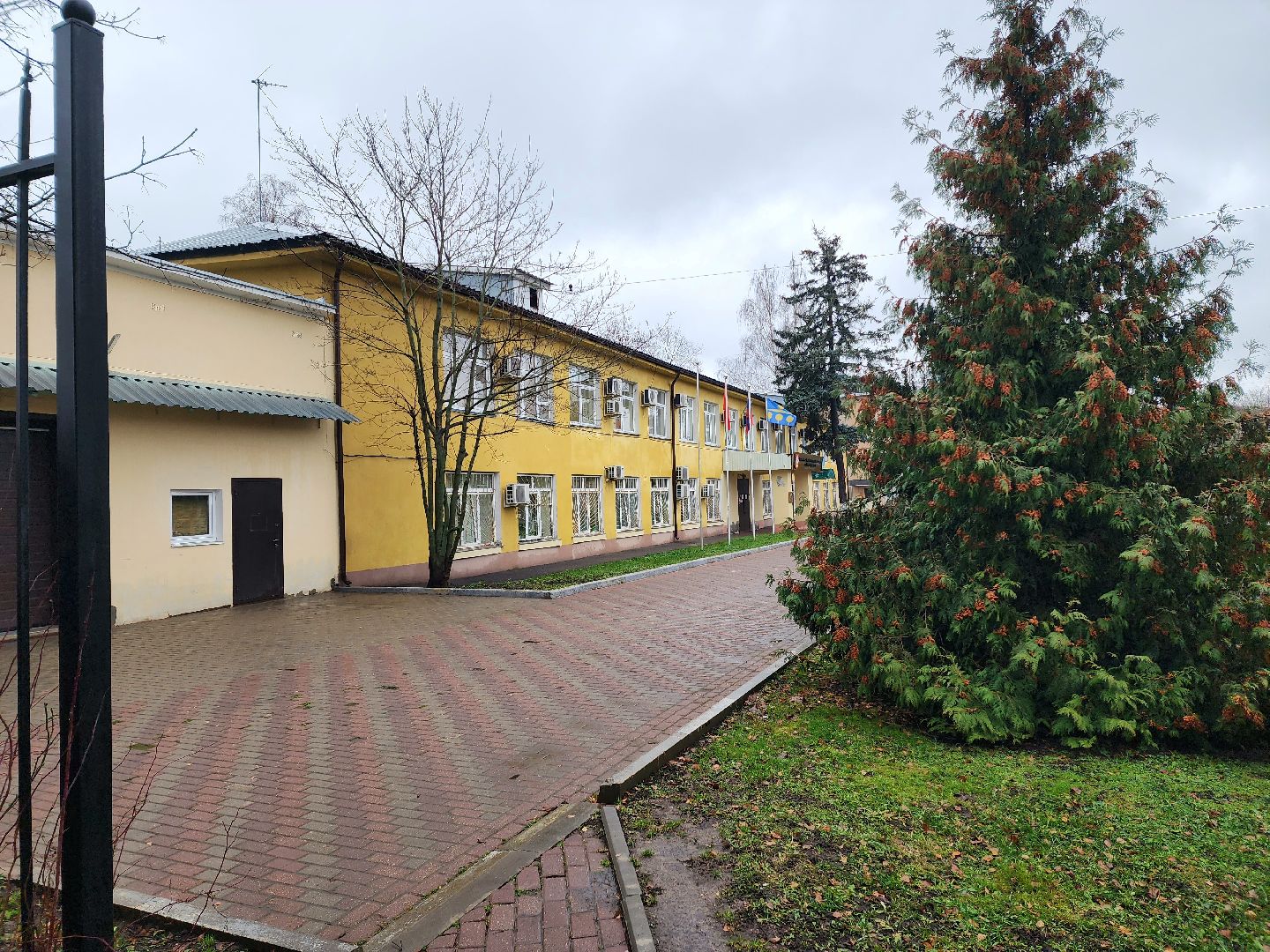 солнечногорск, благоустройство , выстрел , дороги,