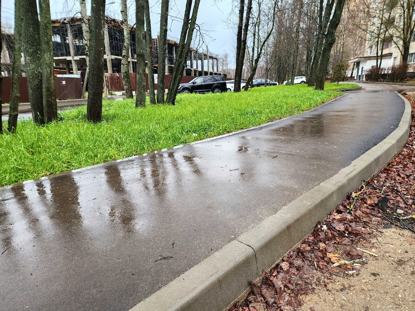 солнечногорск, благоустройство , выстрел , дороги,