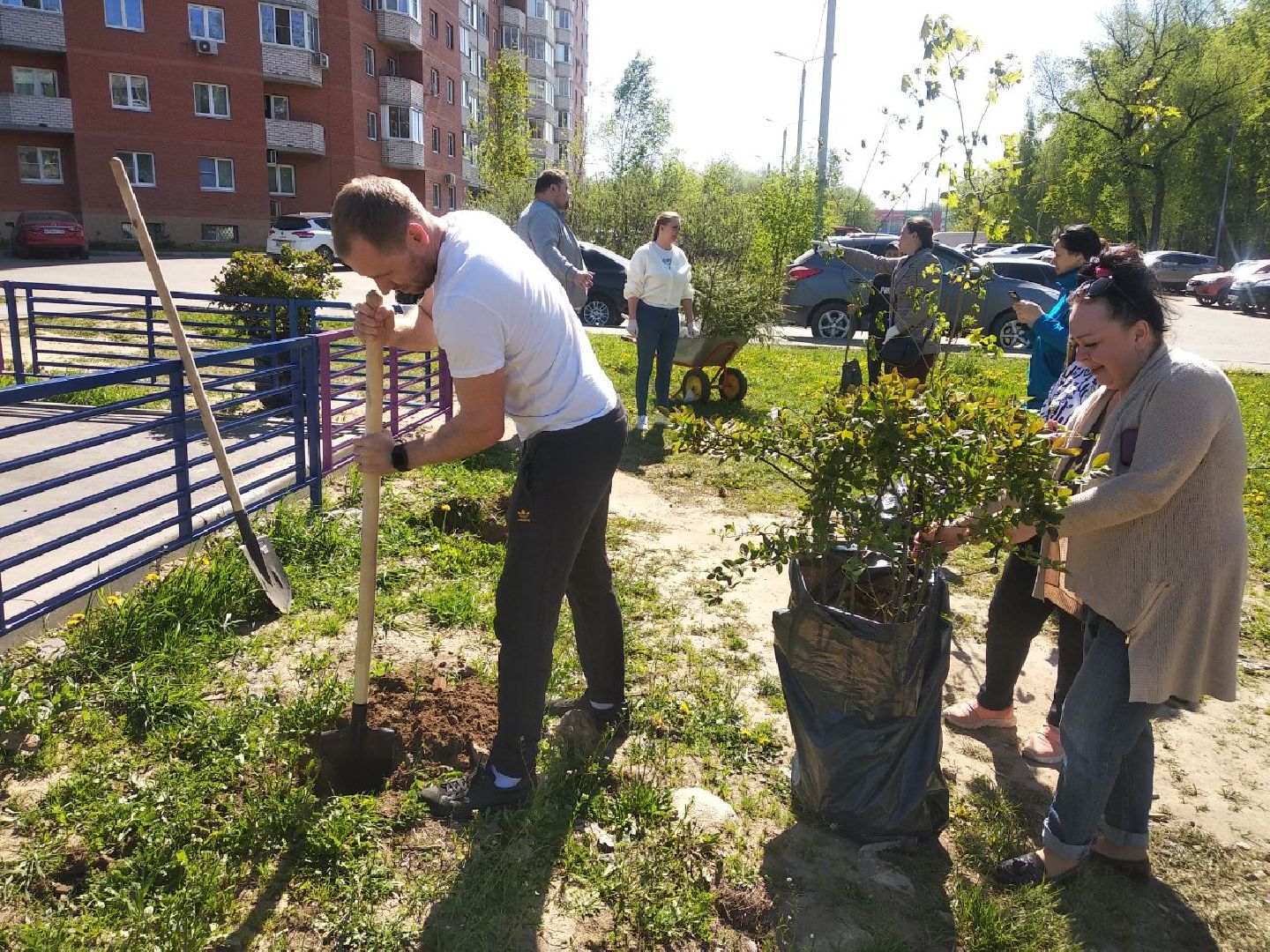 Дмитров, Лес Победы, Минэкологии МО, Мин ЖКХ МО