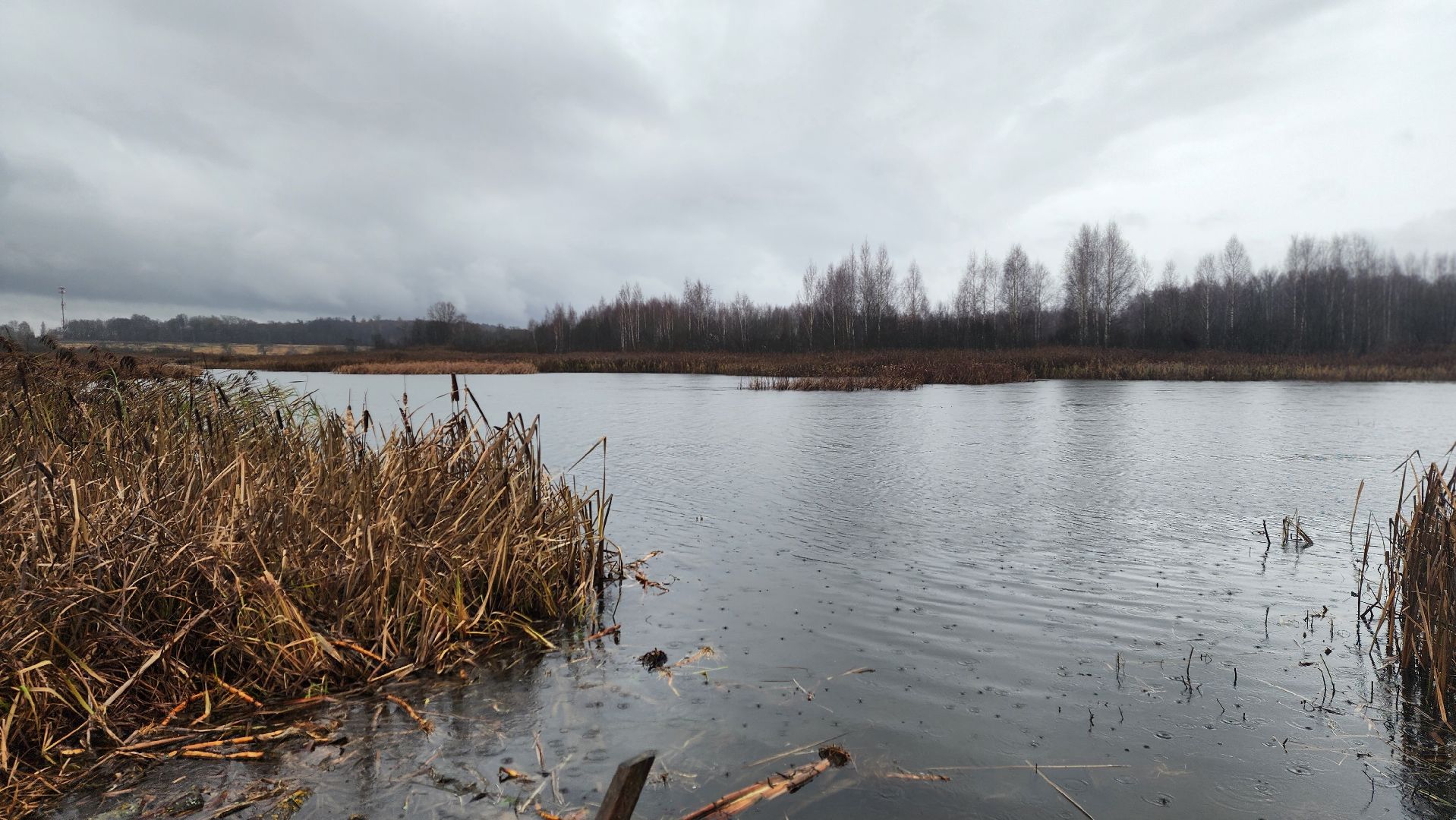 клин, папивино, добродел, очистка водоемов,