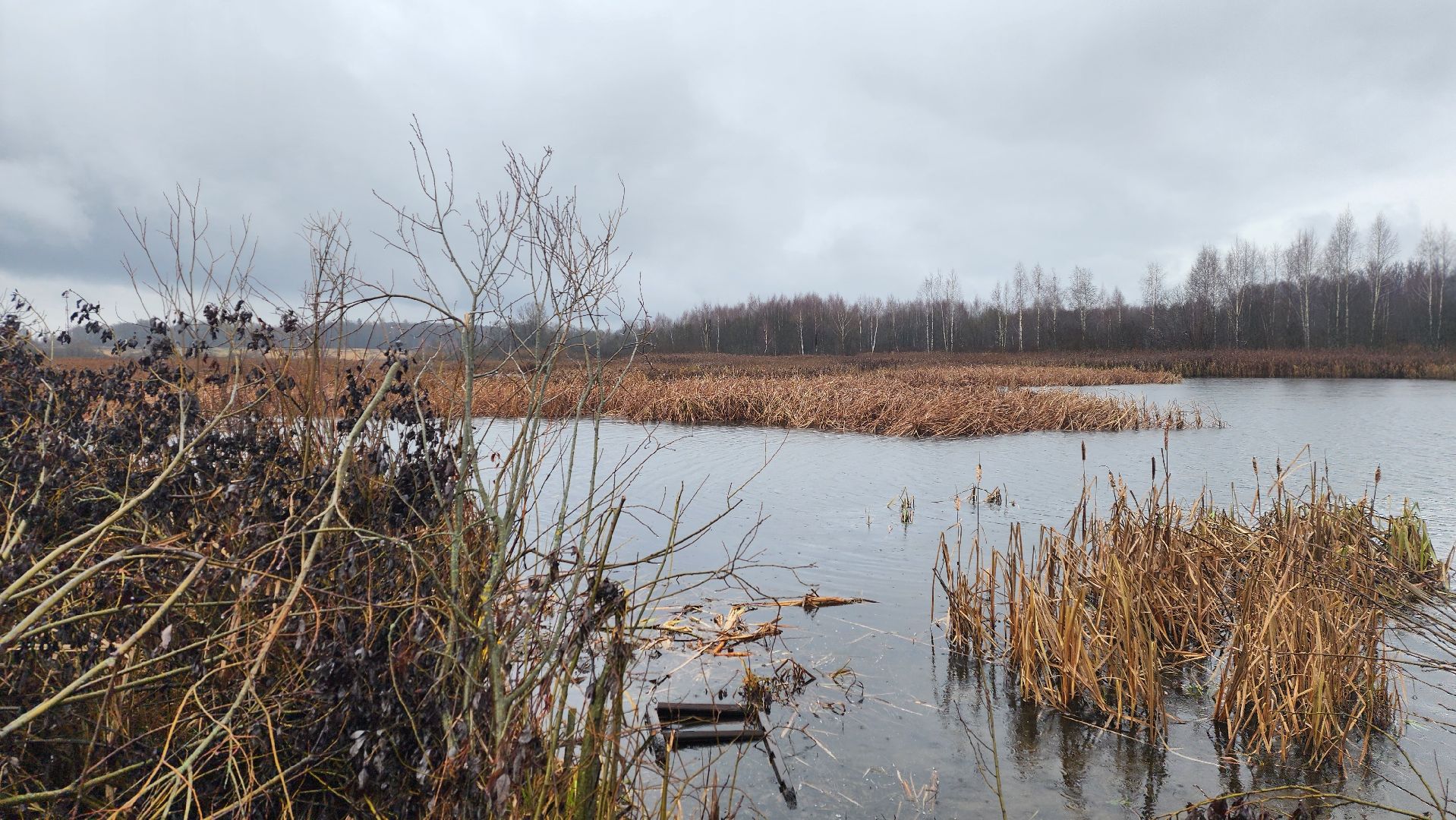 клин, папивино, добродел, очистка водоемов,
