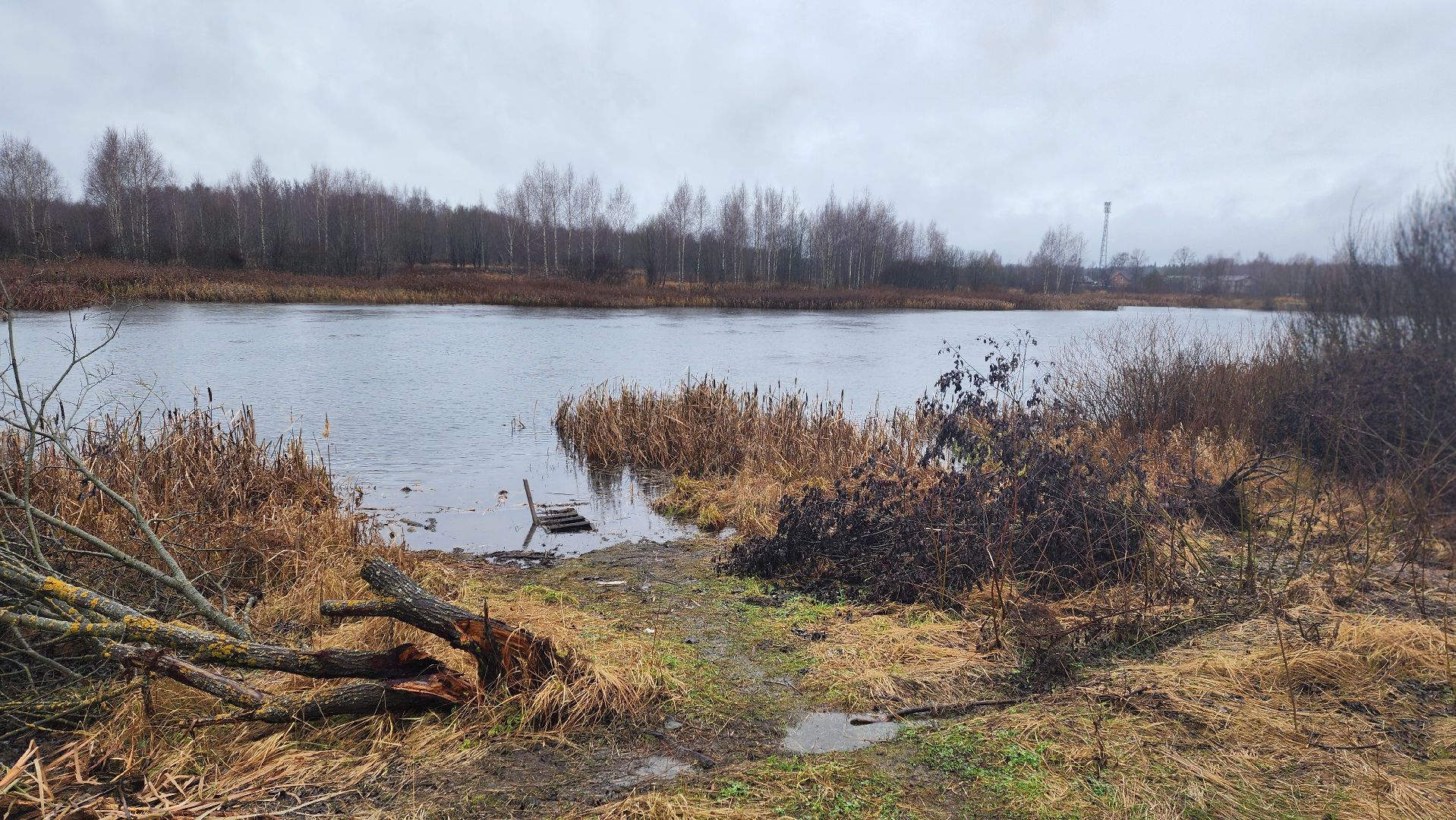 клин, папивино, добродел, очистка водоемов,