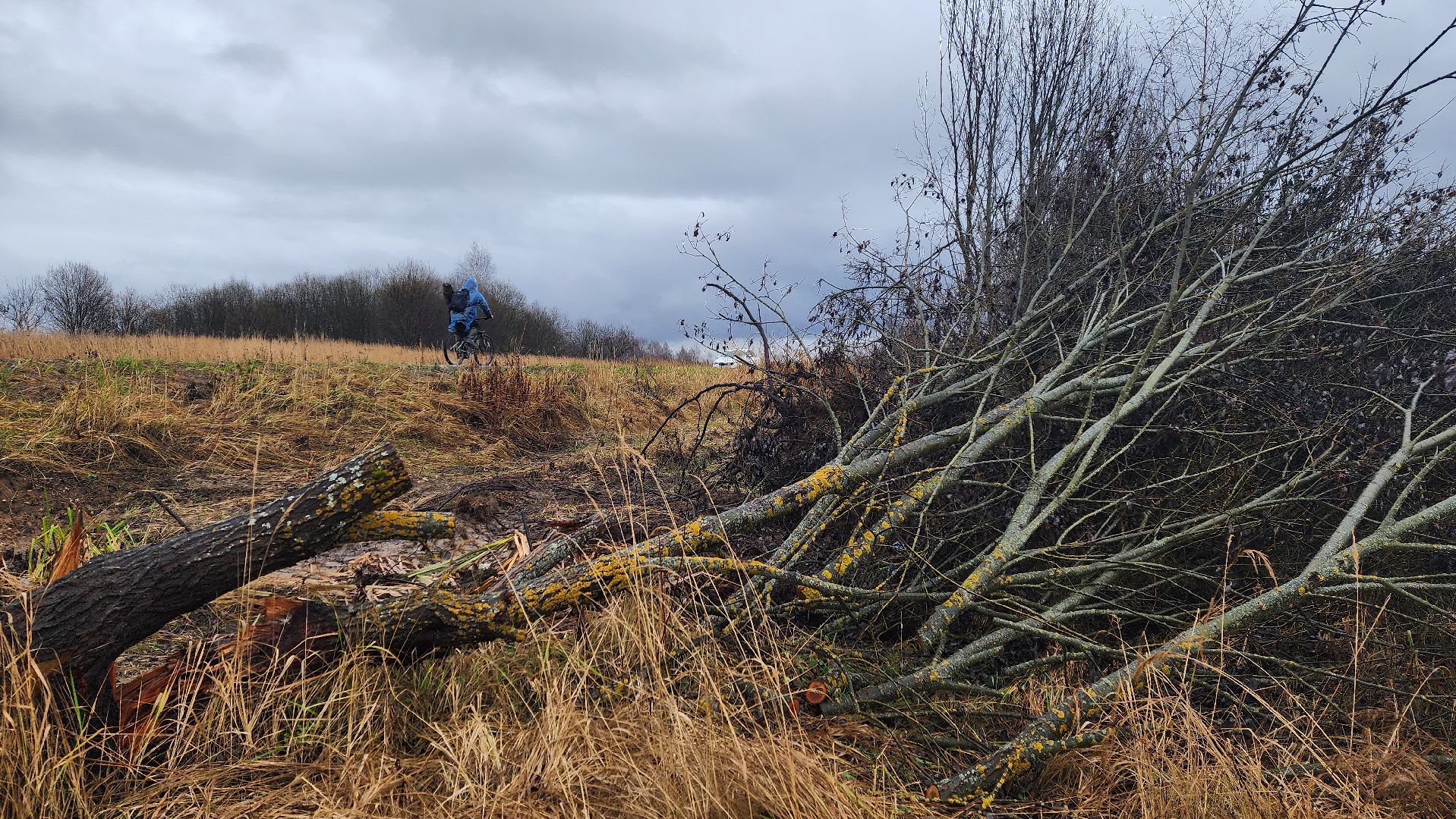 клин, папивино, добродел, очистка водоемов,
