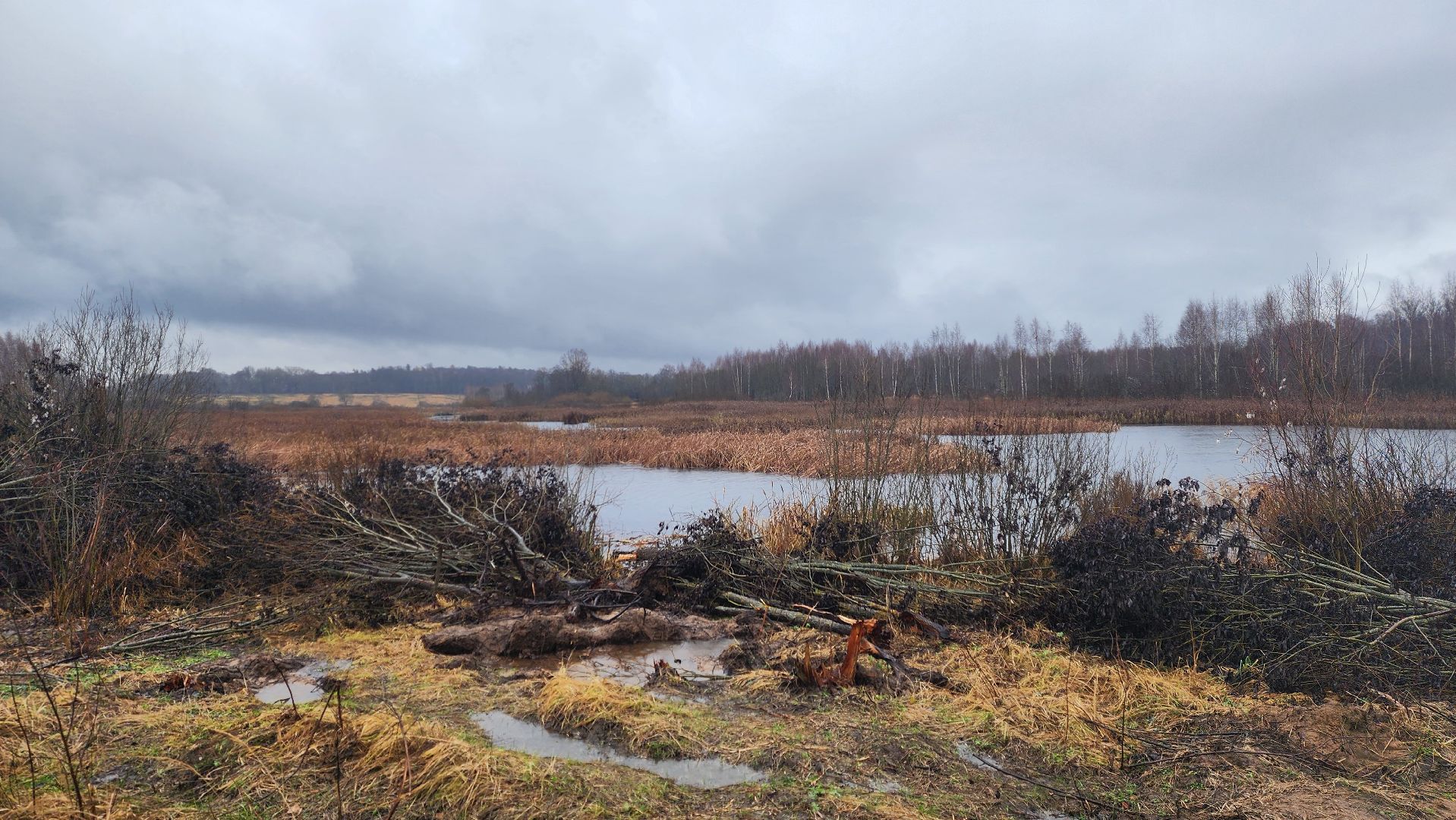 клин, папивино, добродел, очистка водоемов,