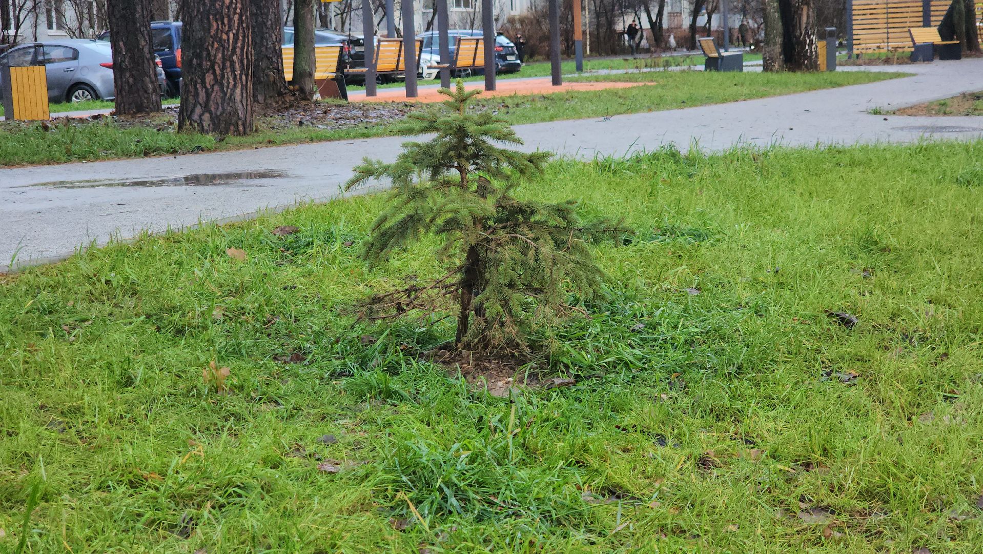 королёв, благоустройство сквера, Новое общественное пространство,