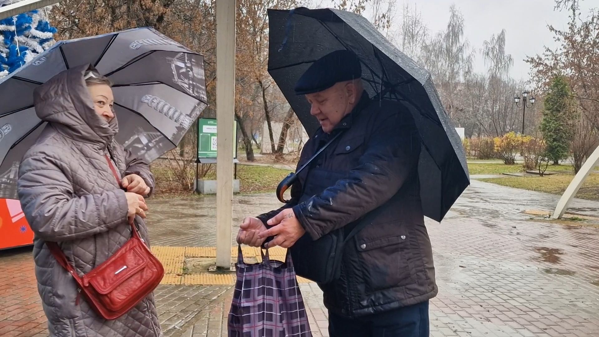 благотворительная акция крупинка добра в парках балашихи, балашиха,