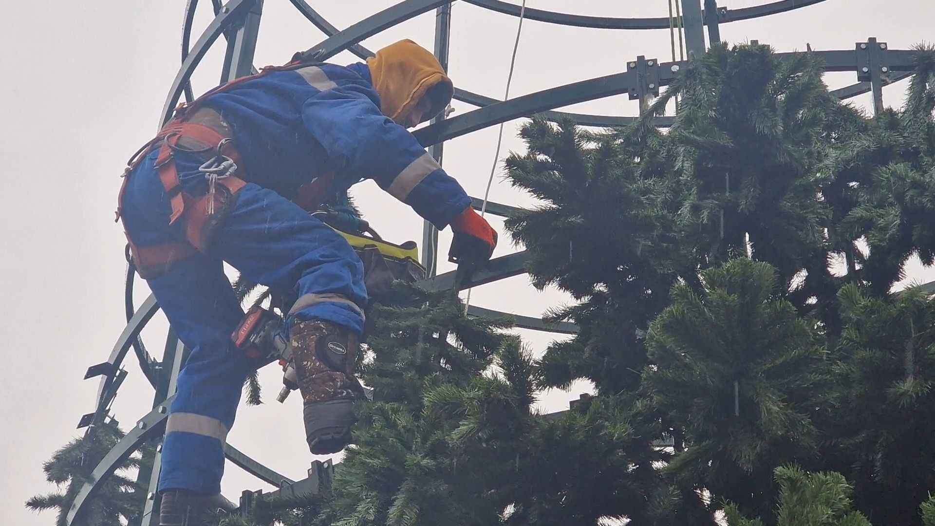 восемнадцатиметровую новогоднюю елку собирают на площади перед ледовым дворцом в балашихе, балашиха,