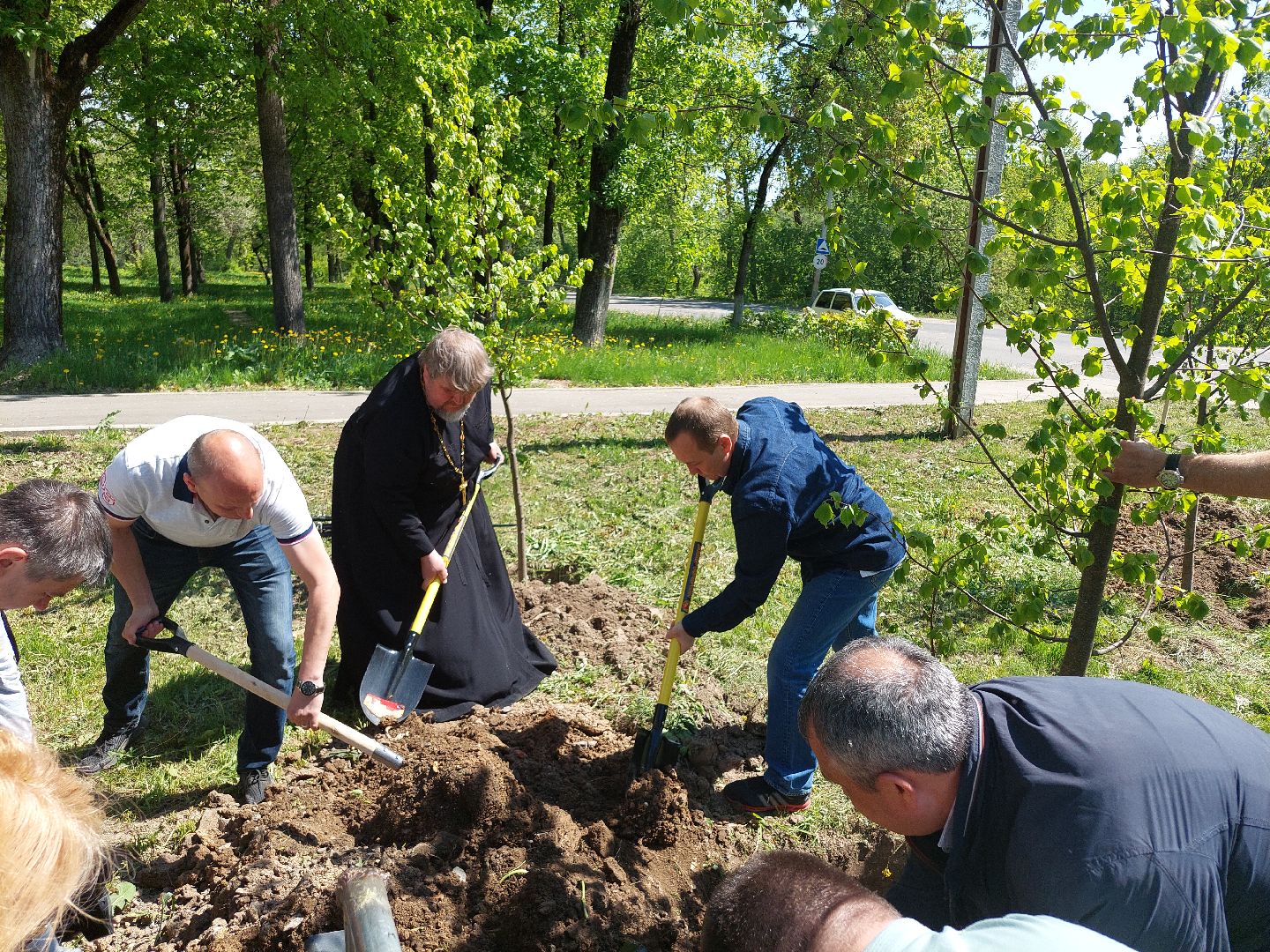 лес победы, жители, общество, акция, память