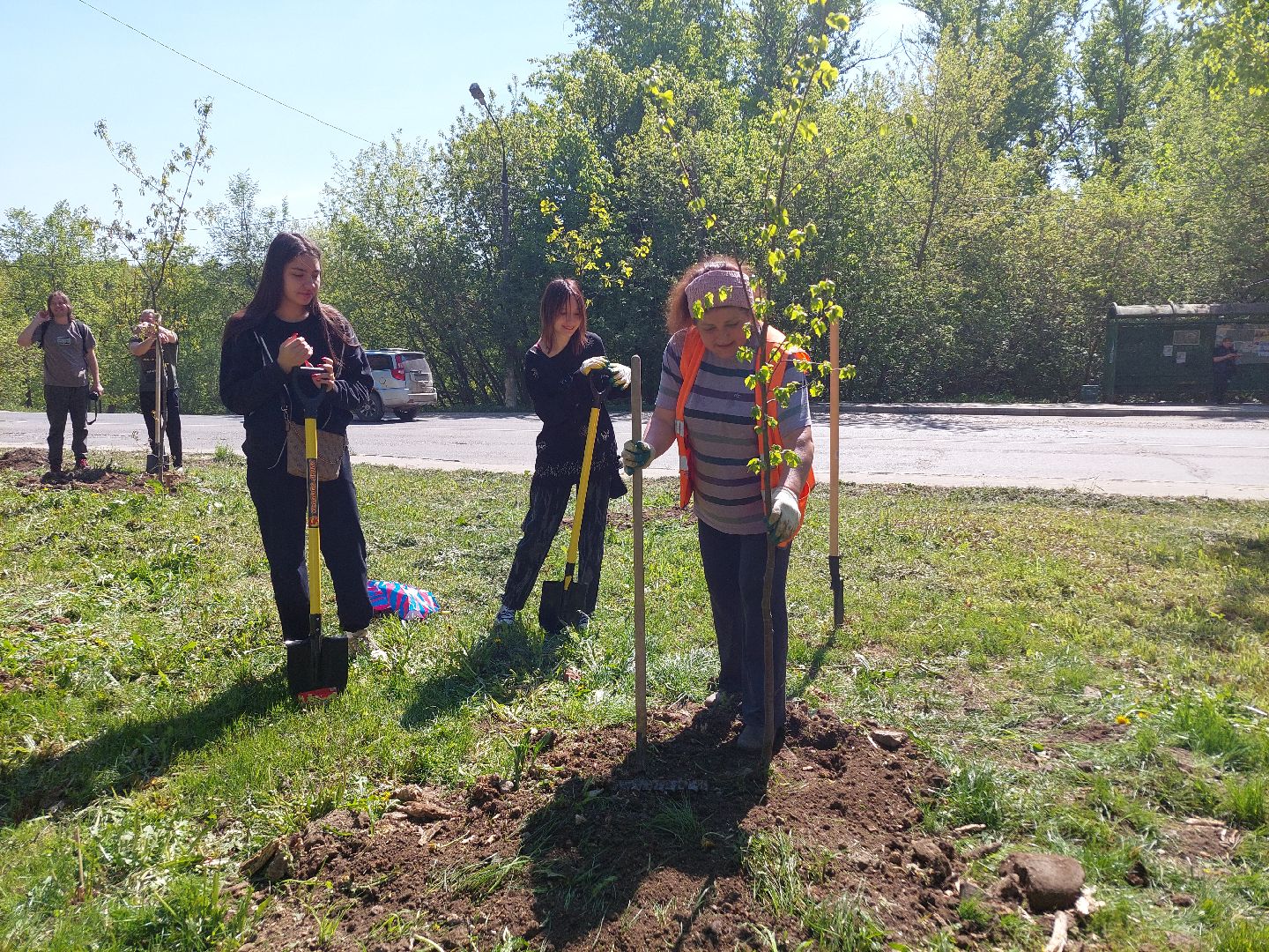 лес победы, жители, общество, акция, память
