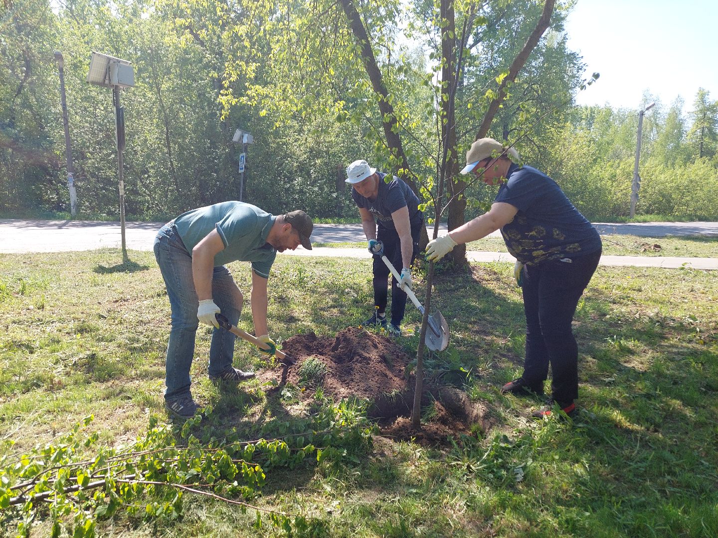 лес победы, жители, общество, акция, память