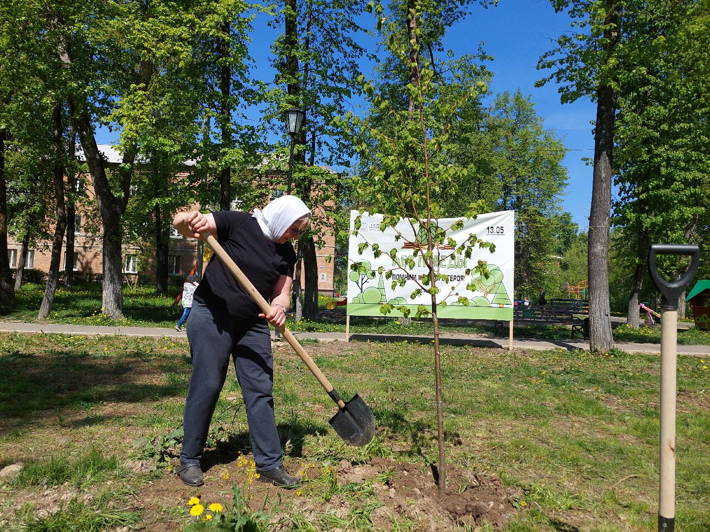 лес победы, жители, общество, акция, память