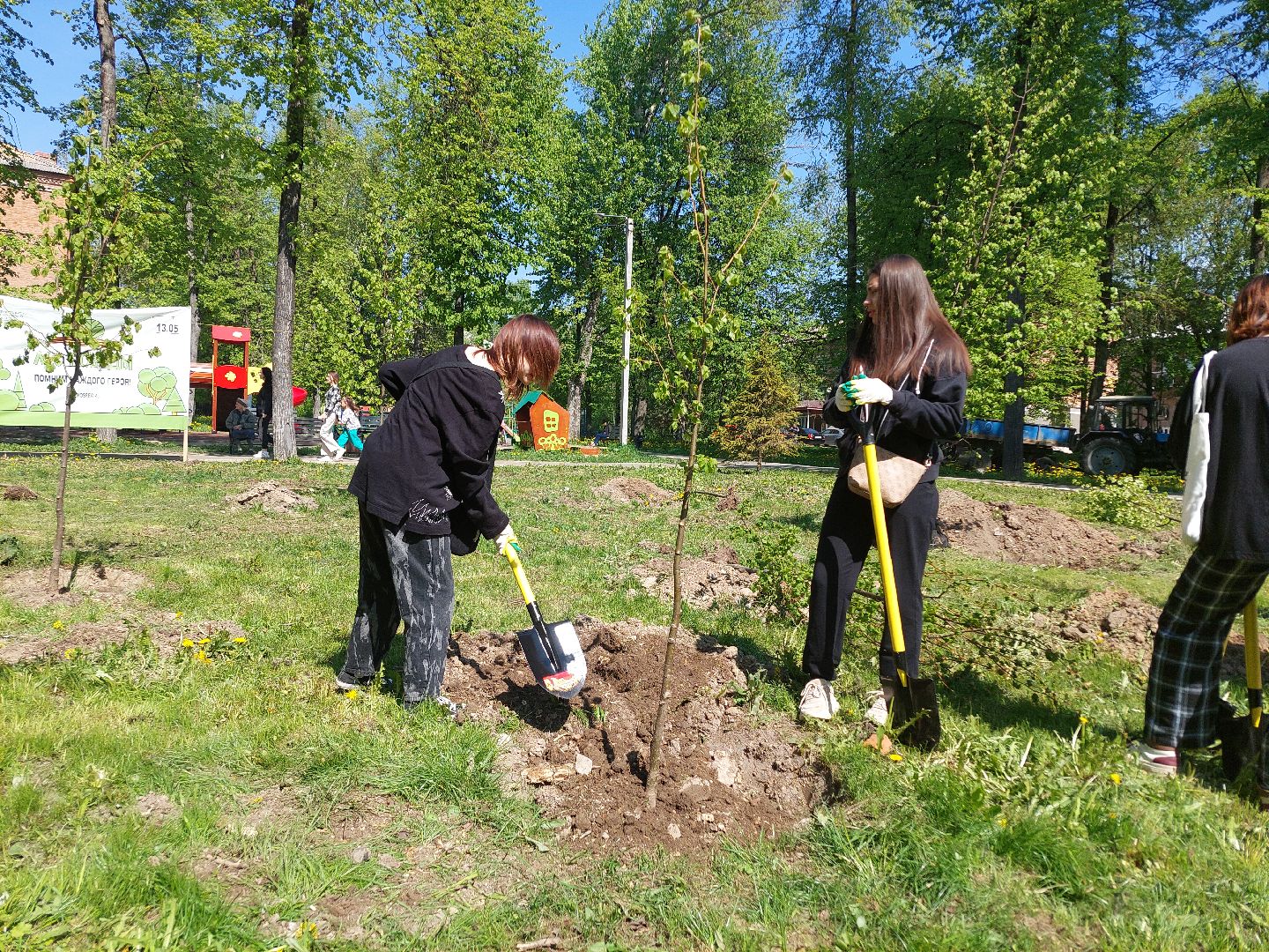 лес победы, жители, общество, акция, память