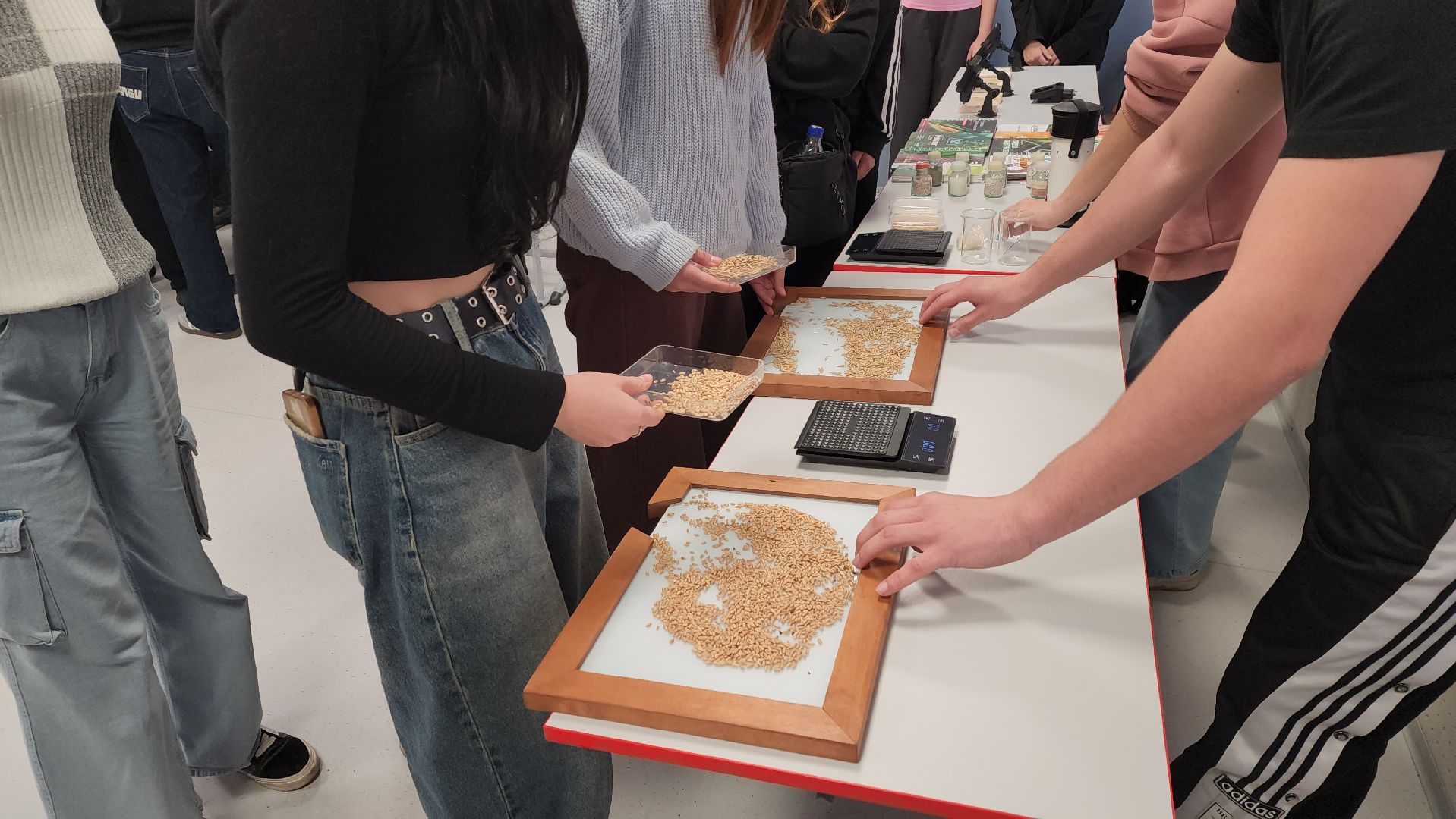 луховицы, образование, профориентация,