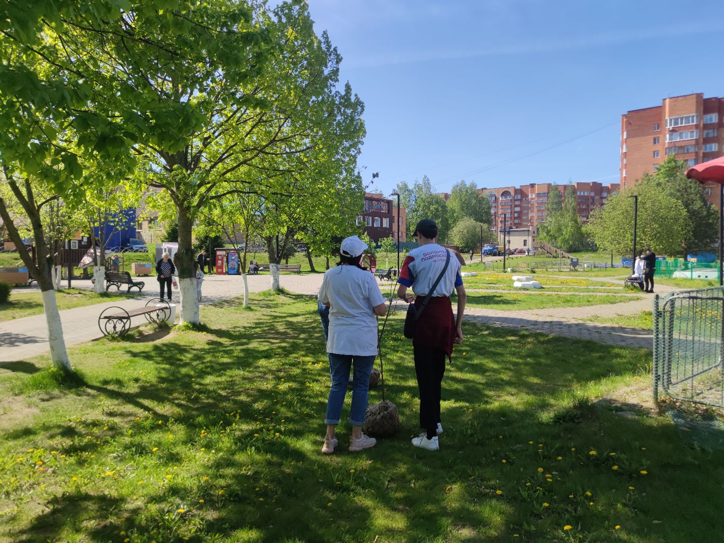 Волонтеры Подмосковья, Лес Победы, Дубна