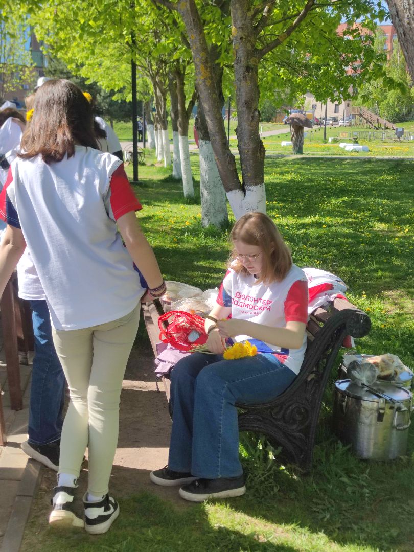 Волонтеры Подмосковья, Лес Победы, Дубна