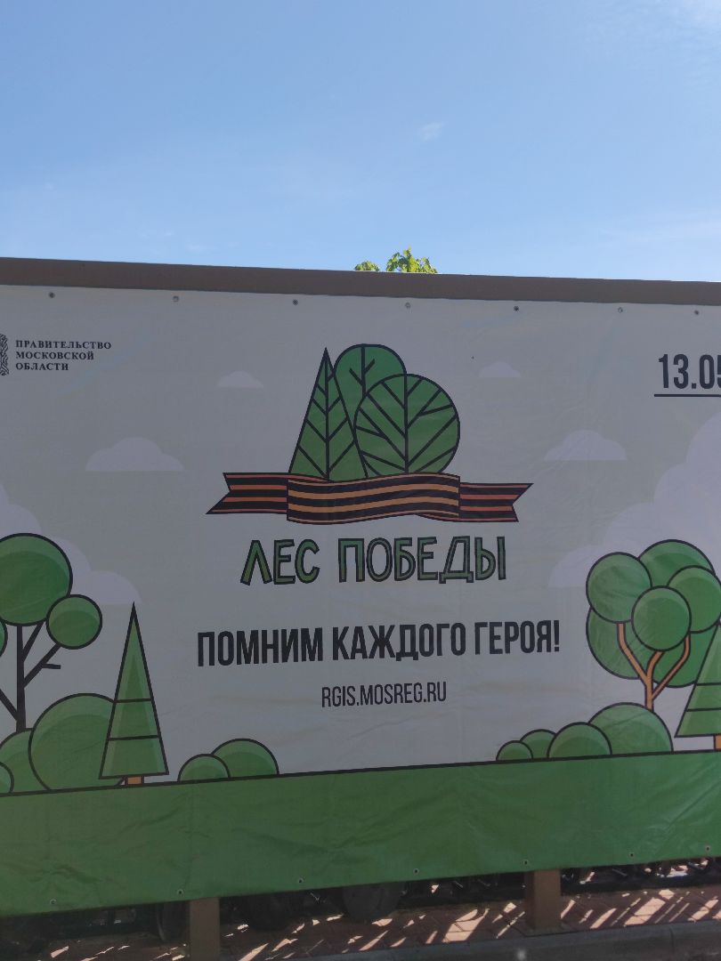 Волонтеры Подмосковья, Лес Победы, Дубна