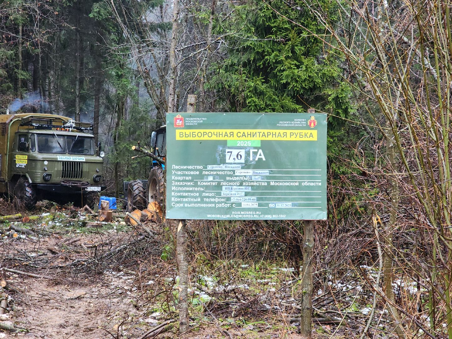 сергиев посад, сергиево-посадский городской округ, деулино, деулинская слобода, лес, естественное лесовосстановление, санитарная рубка леса, мособллес,