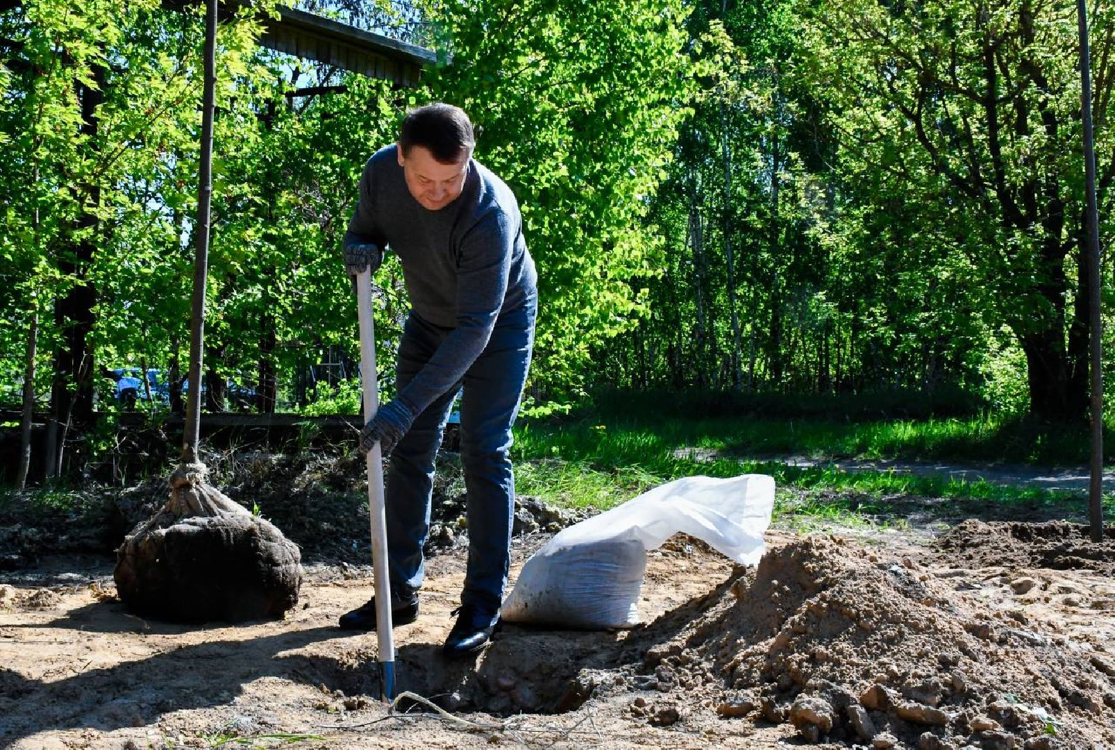 Лес, Победы, деревья, высадили, храм, Рождества, Иоанна, Предтечи