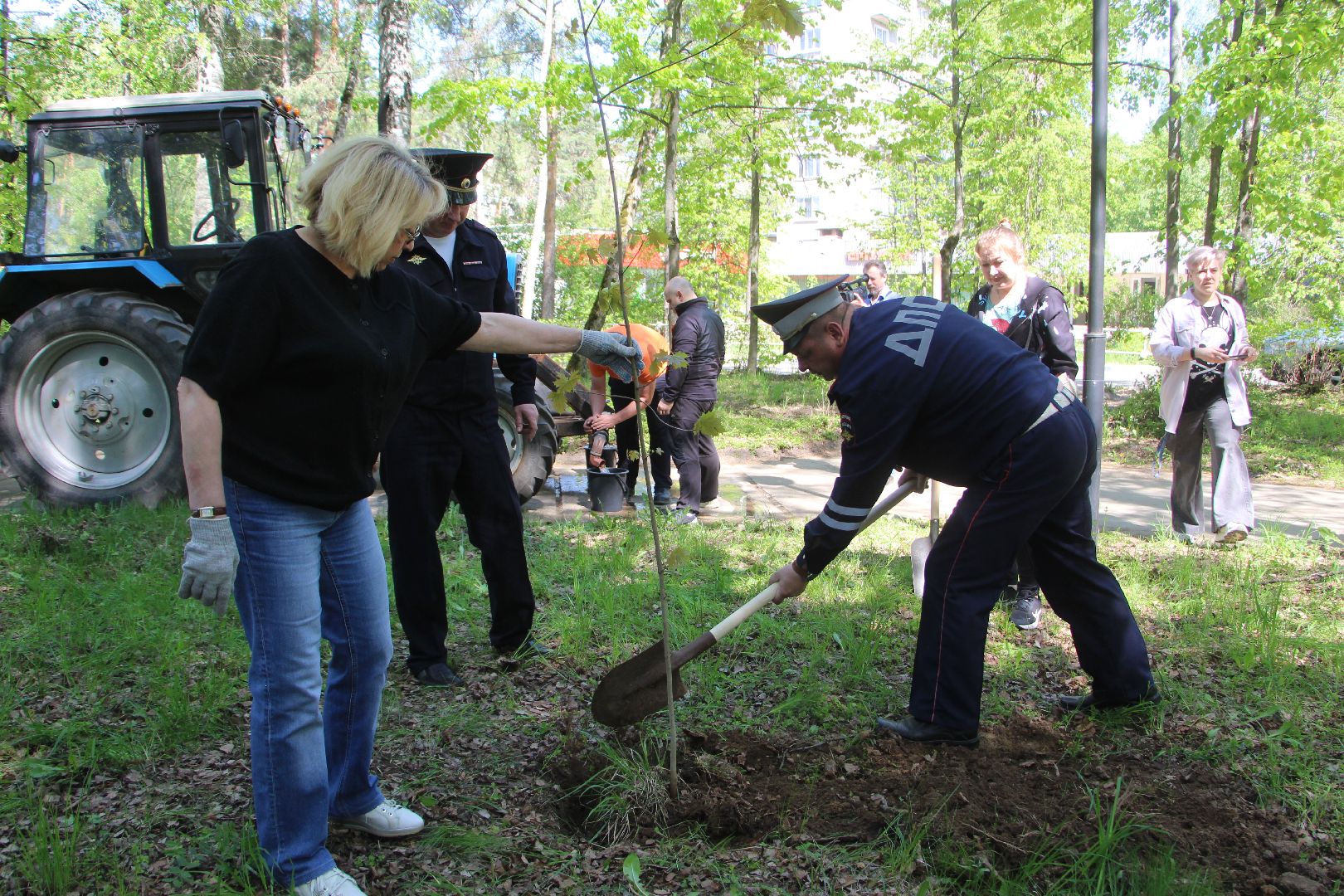 Лес Победы, клены, Протвино, акция, озеленение, экология